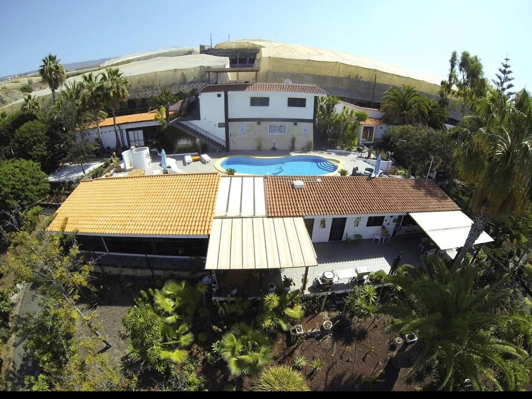 Business in Alcala-Image-tags.info