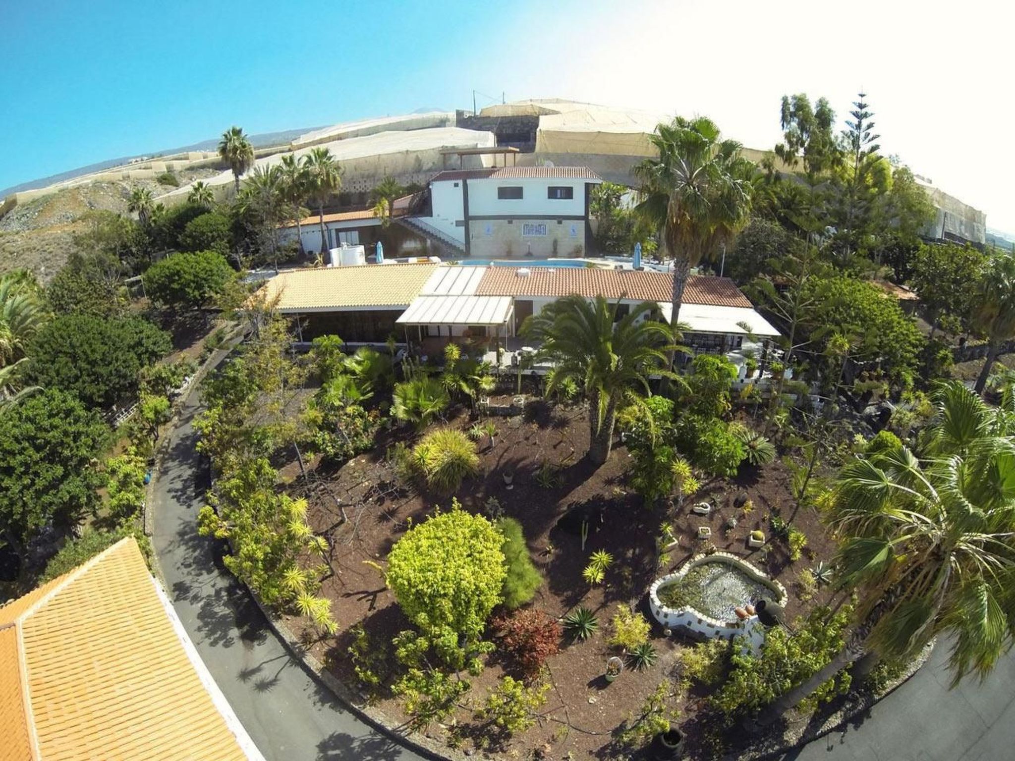 Business in Alcala-Image-tags.info