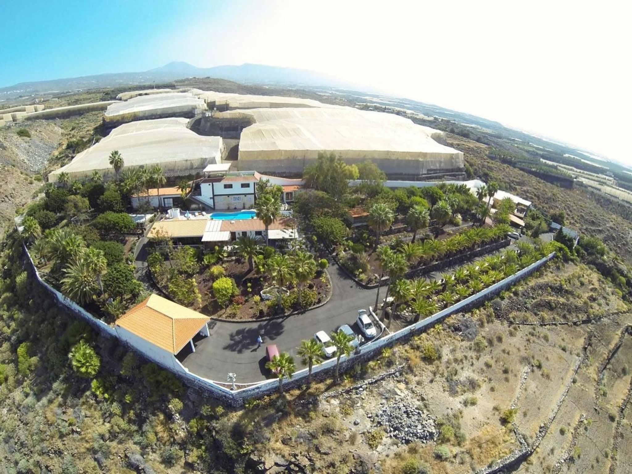 Business in Alcala-Image-tags.info