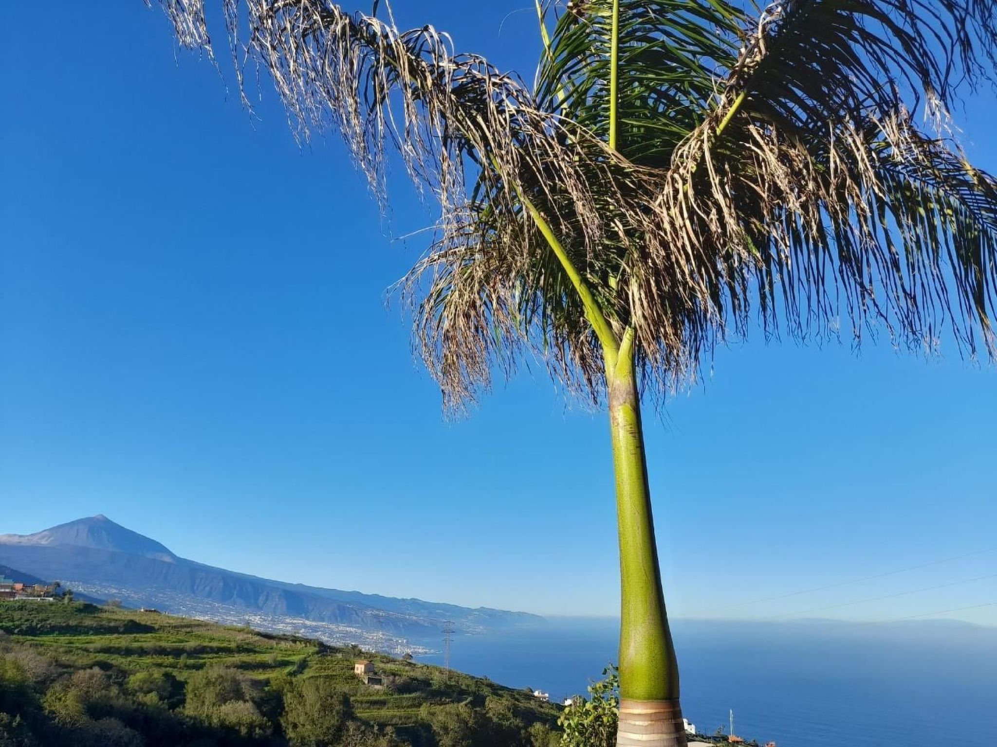 'Chic Escape Villa': Design mit Meerblick-Binnen