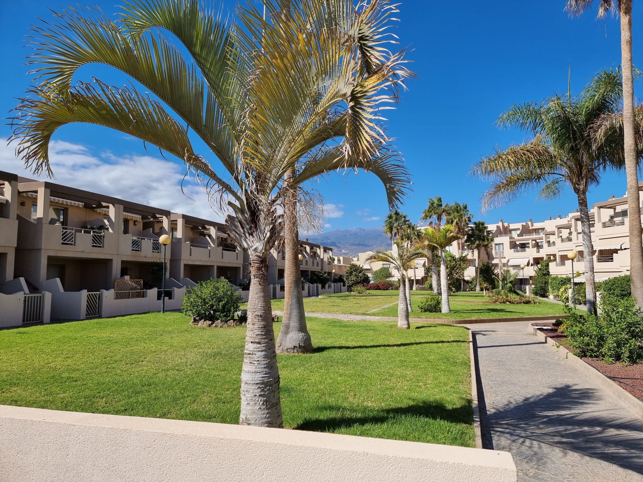 Casa Playa Tejita-Image-tags.info