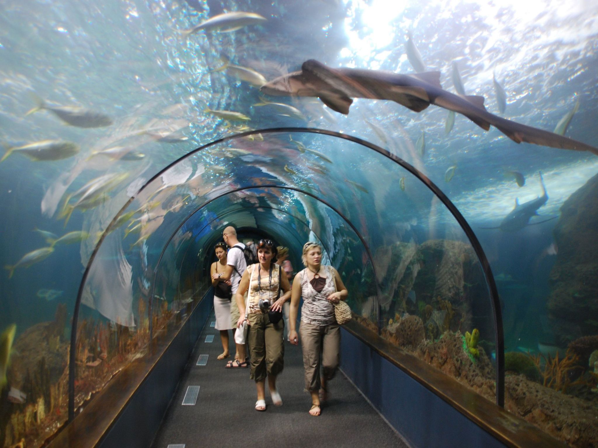 "Green Park 140-Image-tags.info