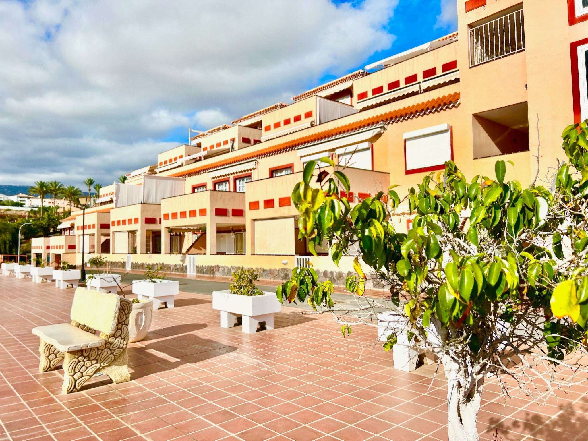 Appartement in Los Cristianos mit gemeinsamem Pool und Terrasse-Outside