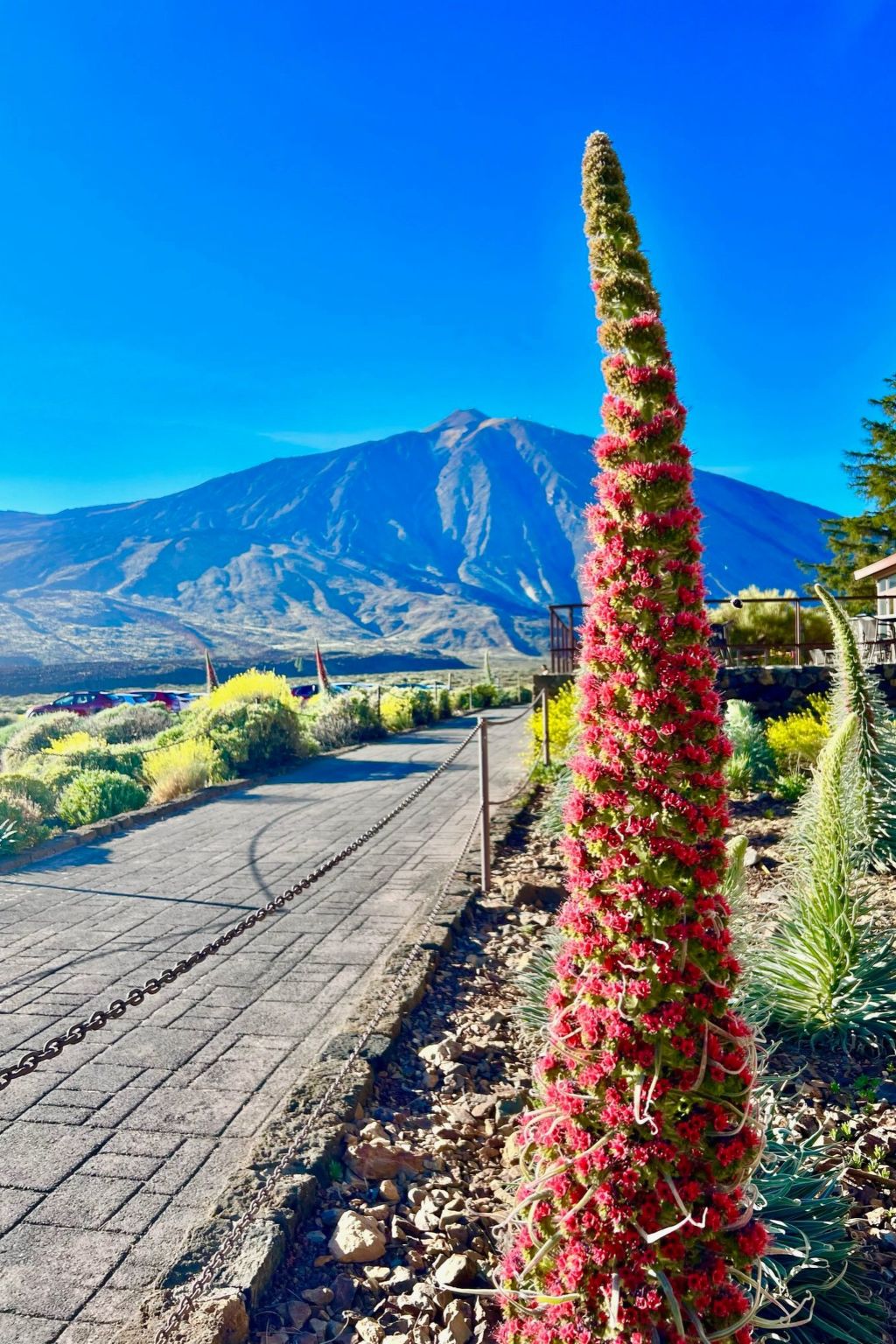Appartement in Los Cristianos mit gemeinsamem Pool und Terrasse-Outside