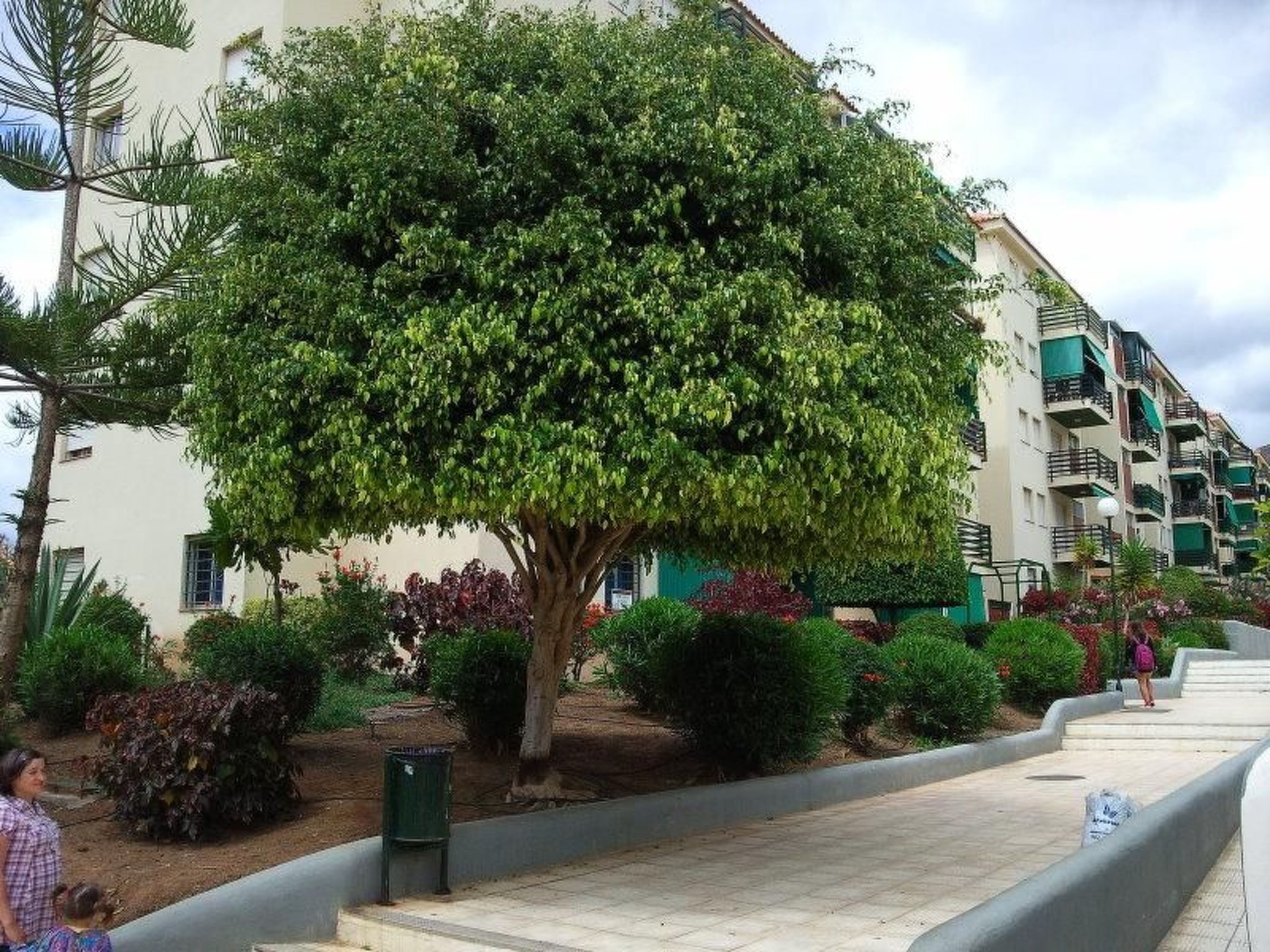 Apartment Cristimar in zentraler Lage-Image-tags.info