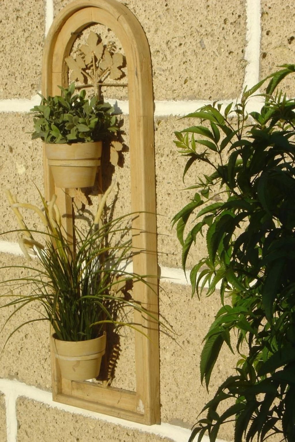 Casa Sarita-Image-tags.info