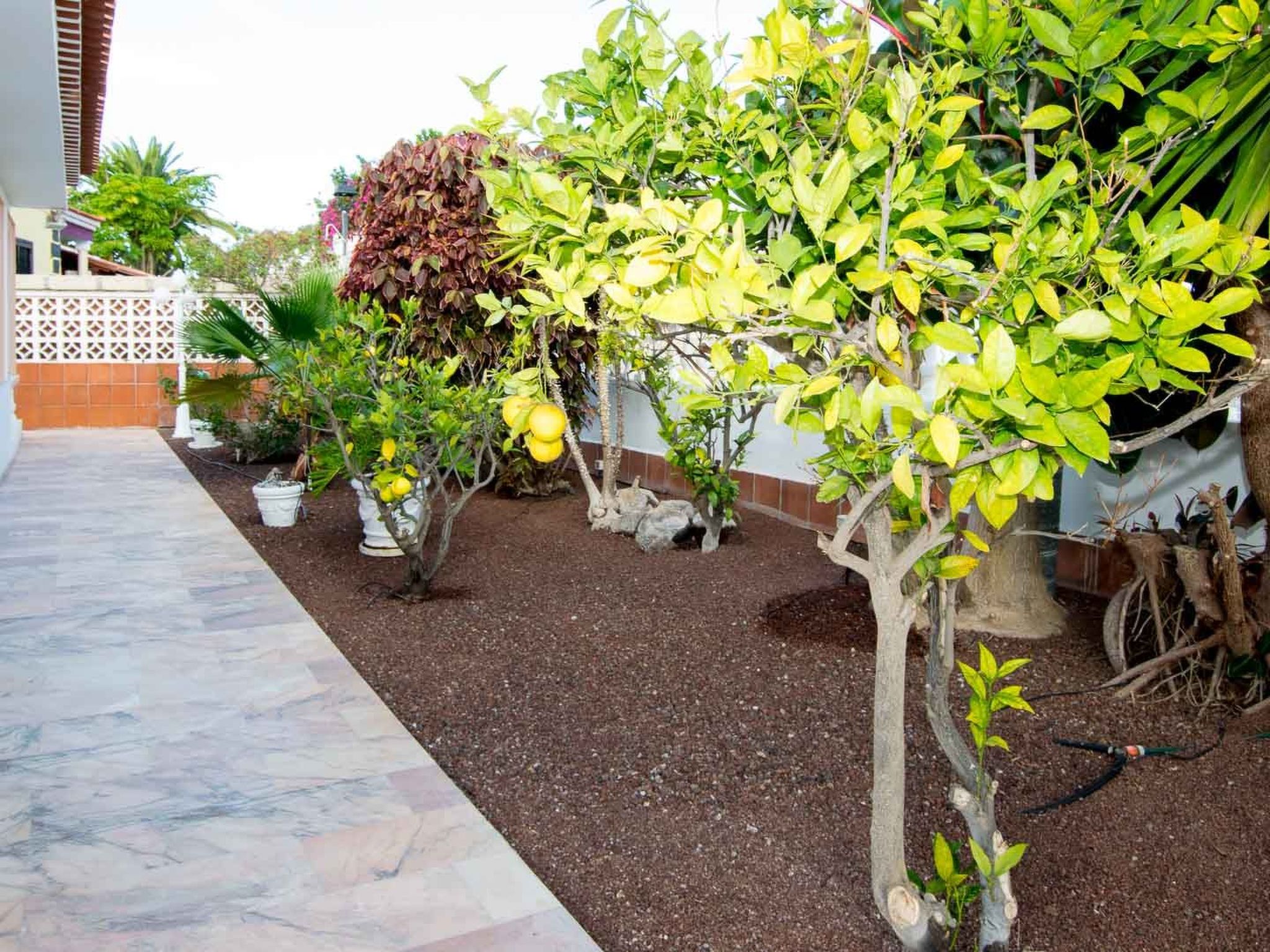 Villa mit beheizten Privat Pool und Meersicht