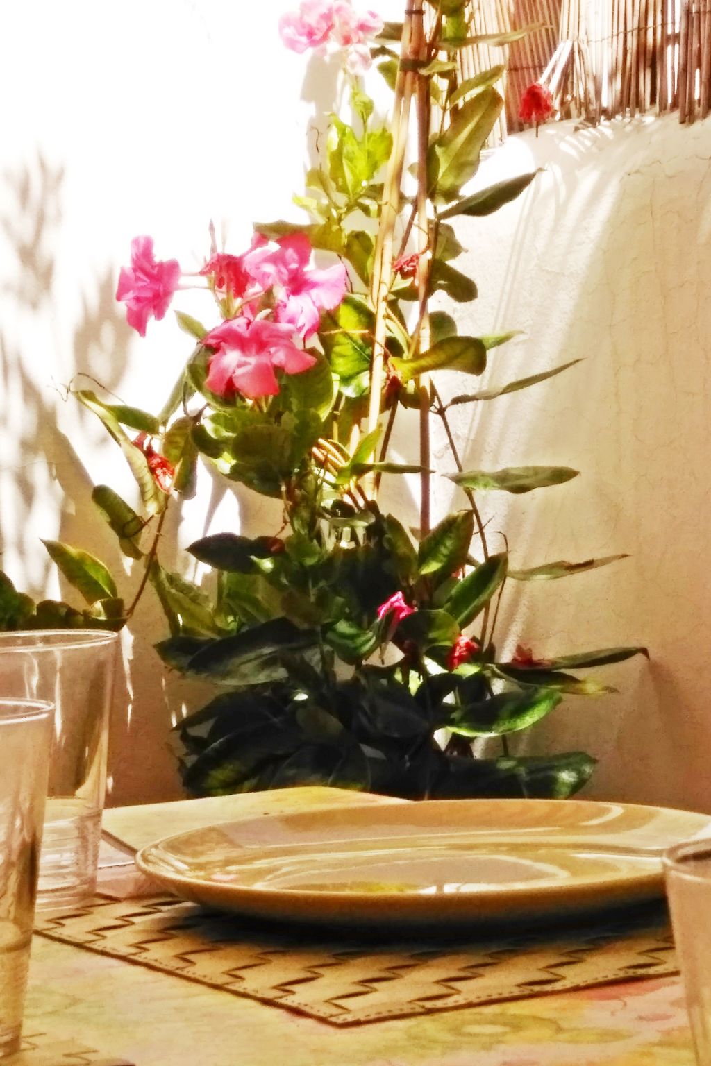 Casa Dos Angeles-Image-tags.info