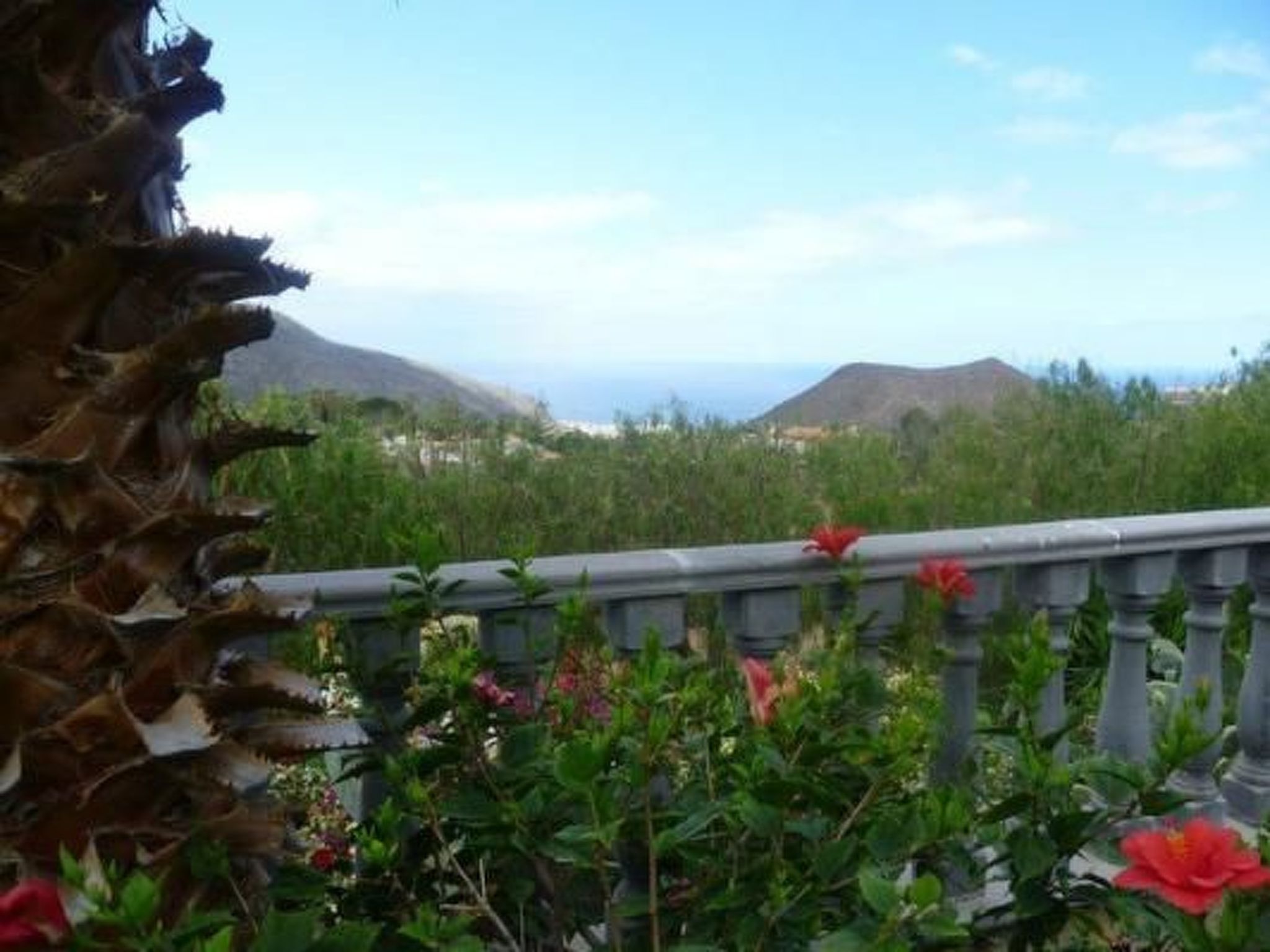 Apartment Laguna-Image-tags.info