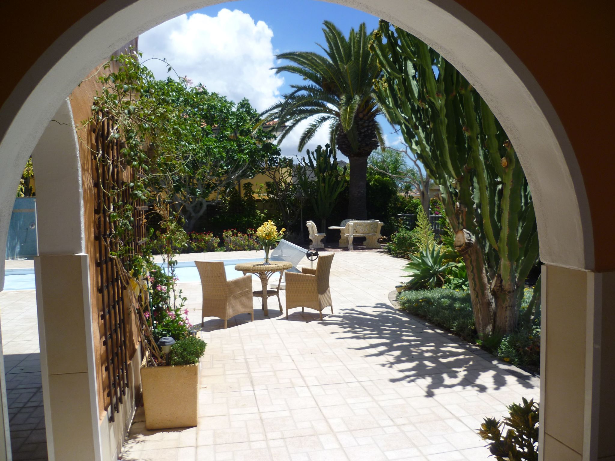 Apartment Laguna-Image-tags.info