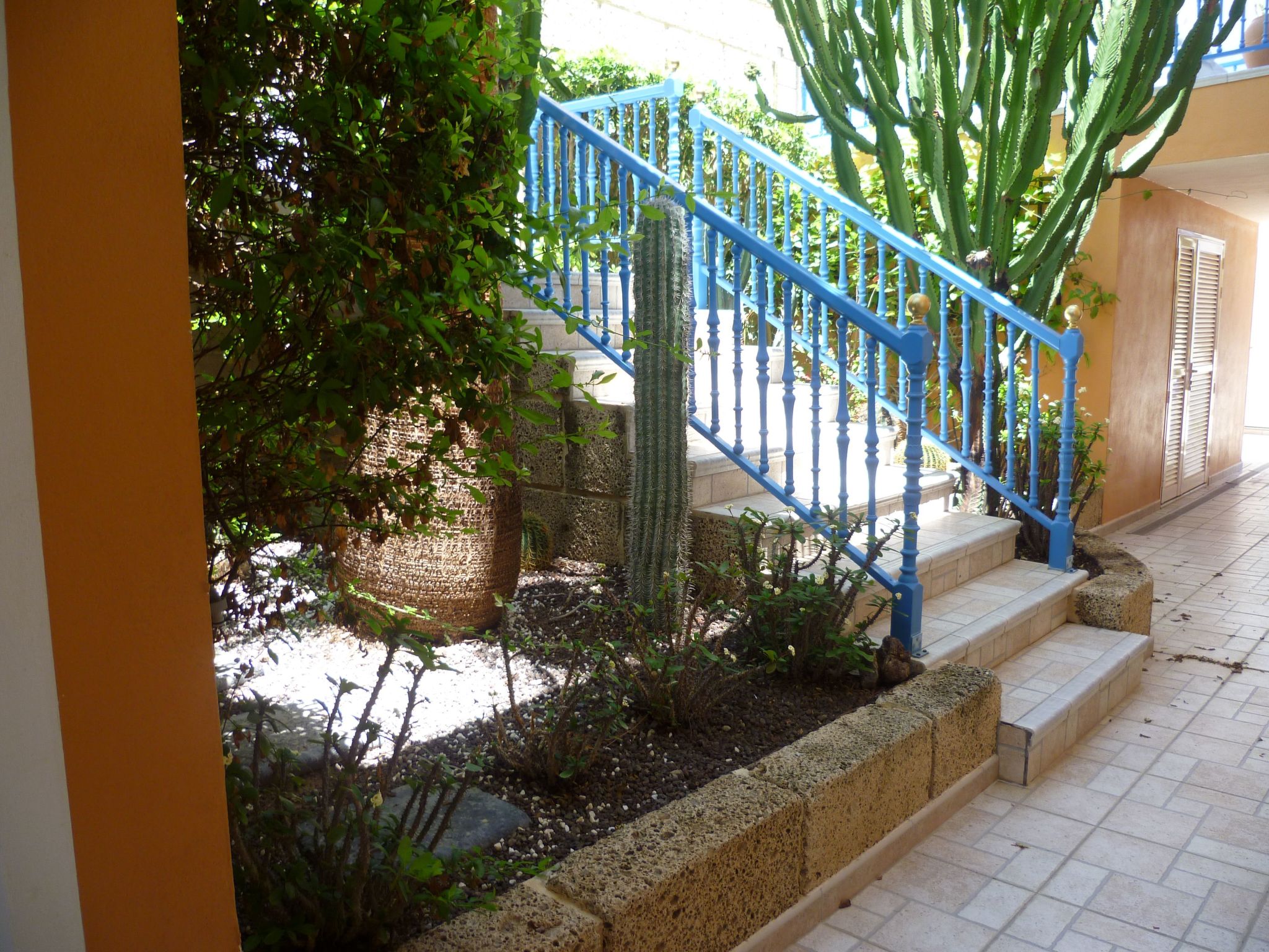 Apartment Laguna-Image-tags.info