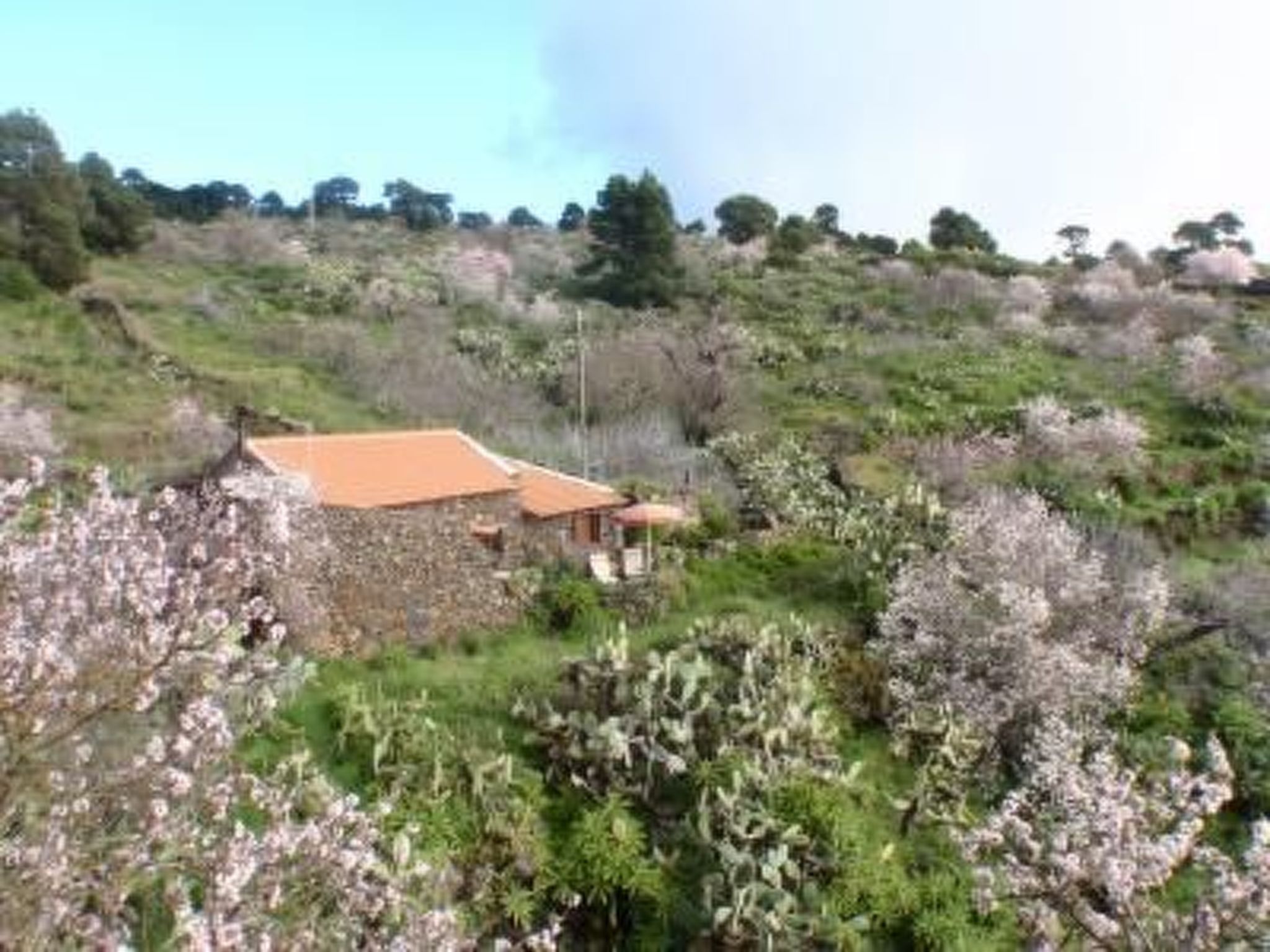 für 3 Personen  + 2 Kinder ca. 60 m&sup2; in El Pinar, El Hierro