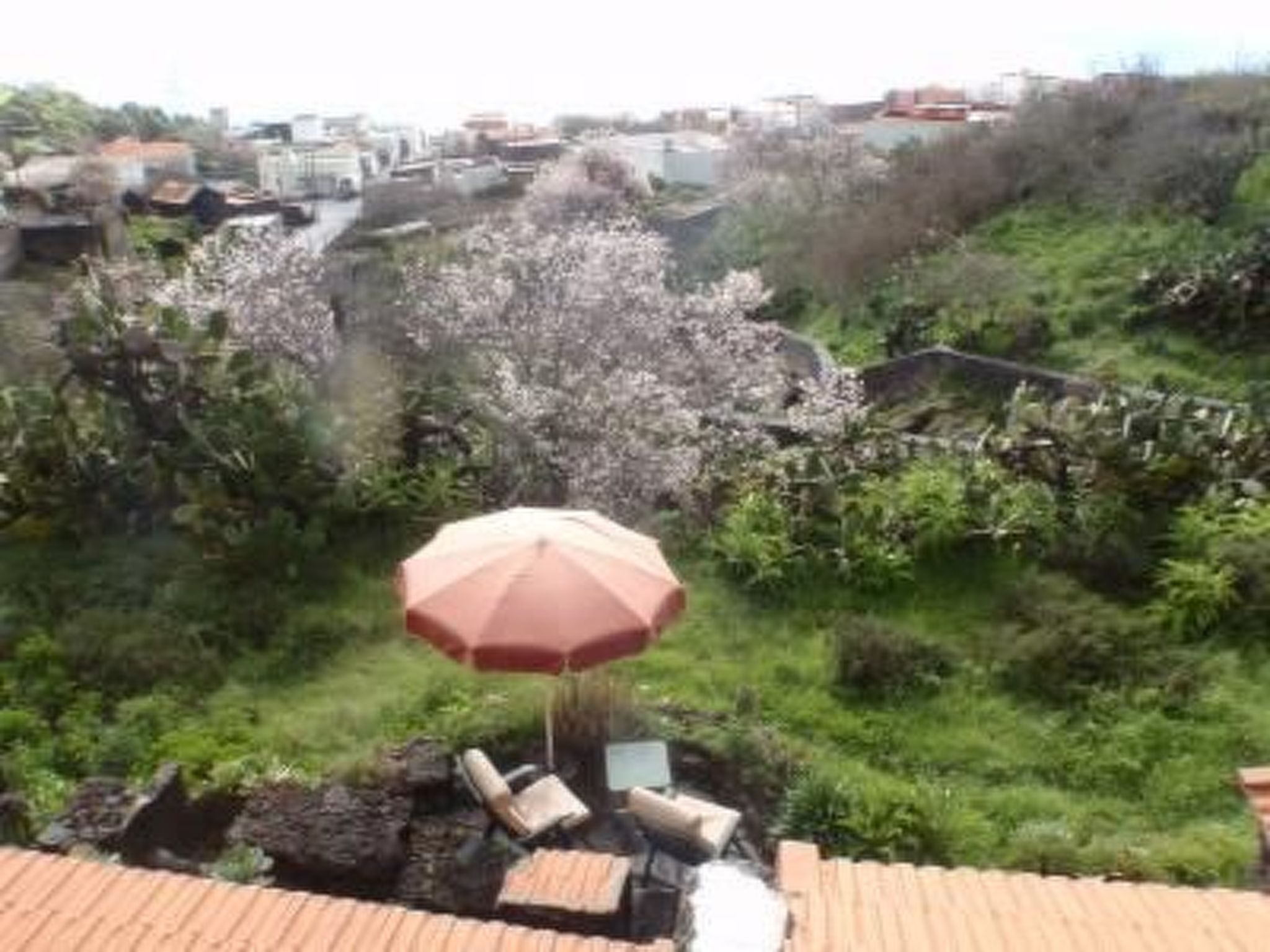 Für 3 Personen  + 2 Kinder ca. 60 m&sup2; in El Pinar, El Hierro-Image-tags.info