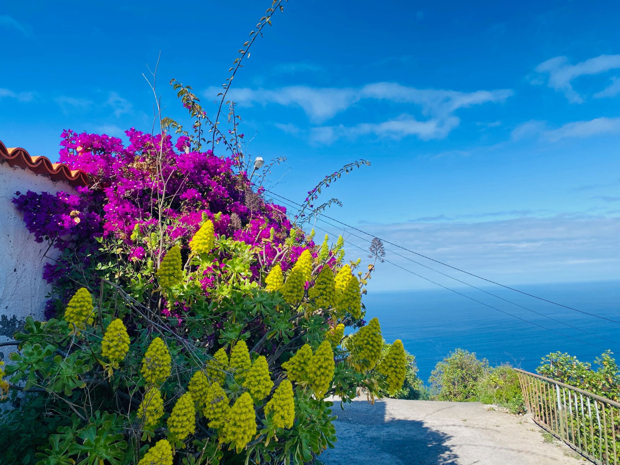 Finca Ventana al Mar-Image-tags.info