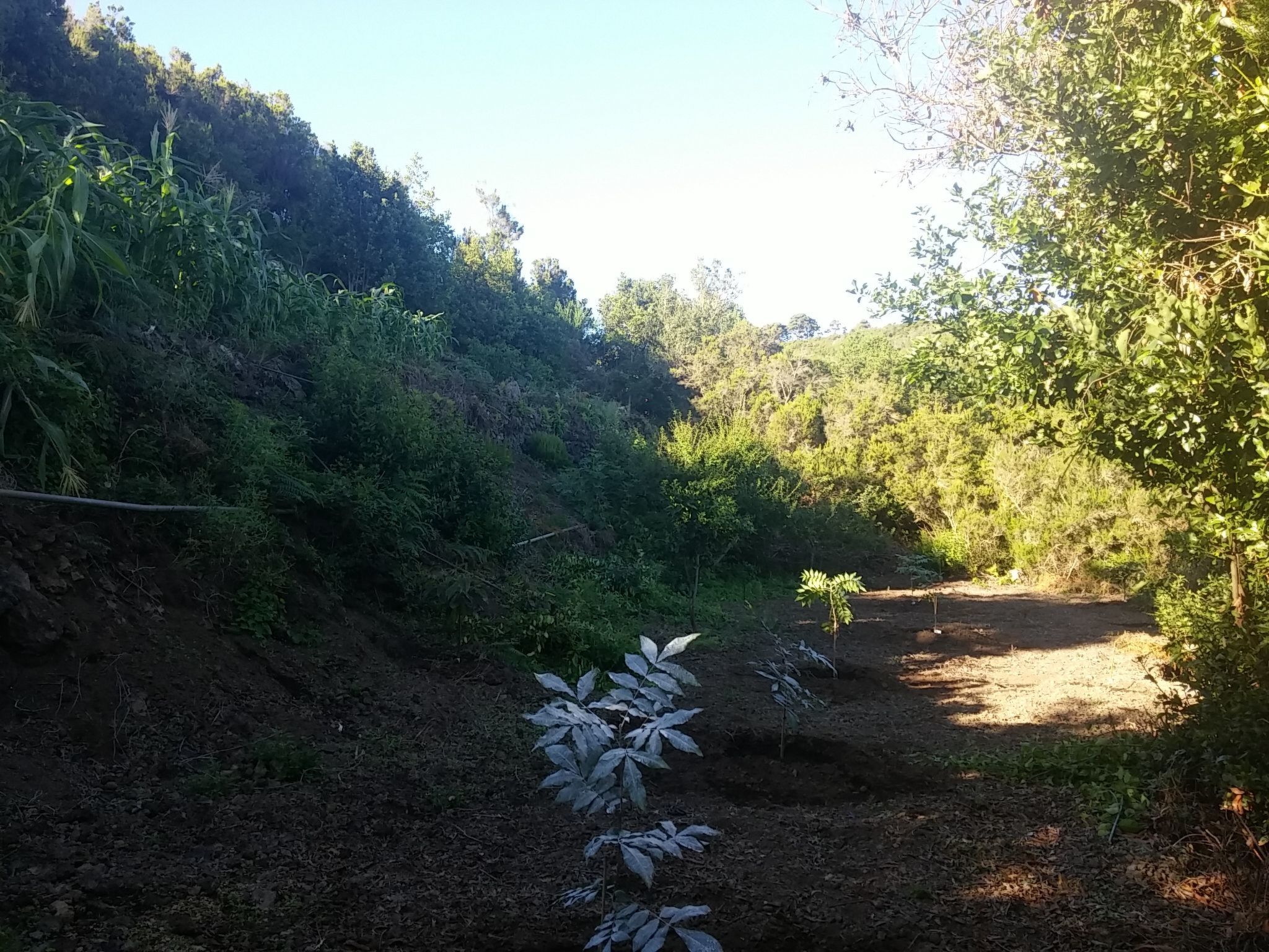 Ecolodge Tenerife 3  bedroom c-Outside