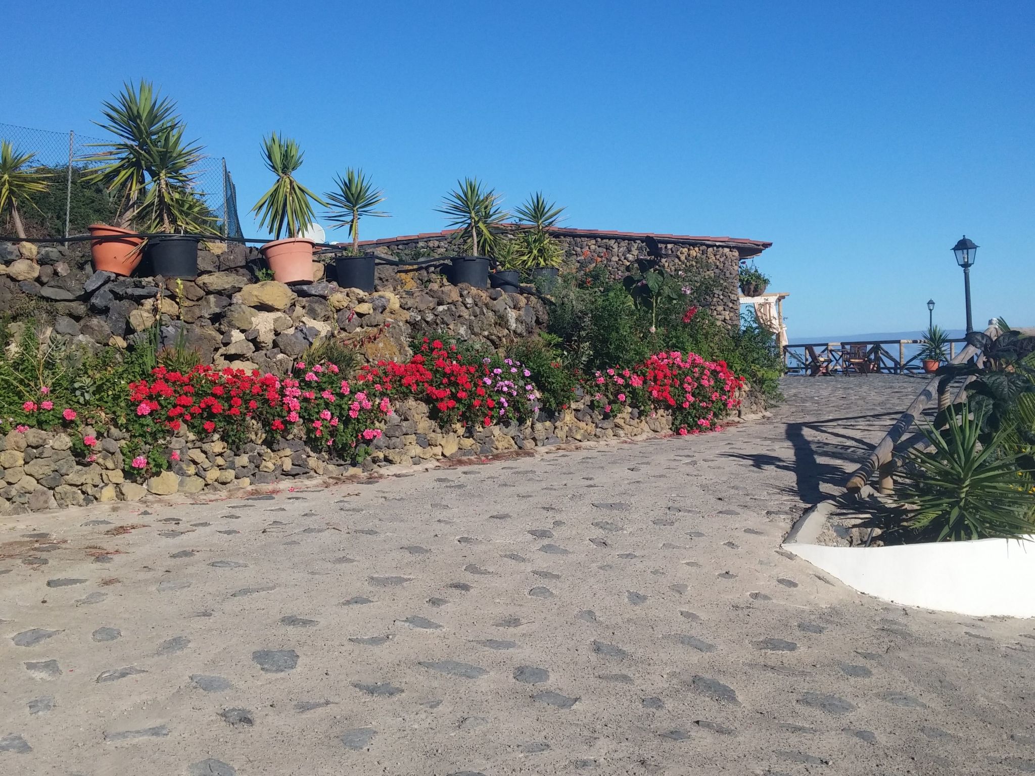 Ecolodge Teneriffa: Entspannung und Natur mit Panoramablick