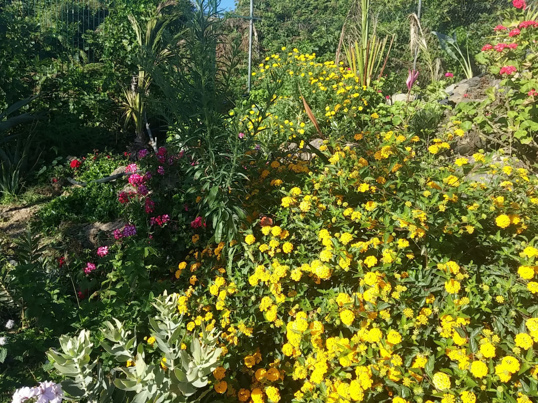 Ecolodge Teneriffa: Entspannung und Natur mit Panoramablick-Outside