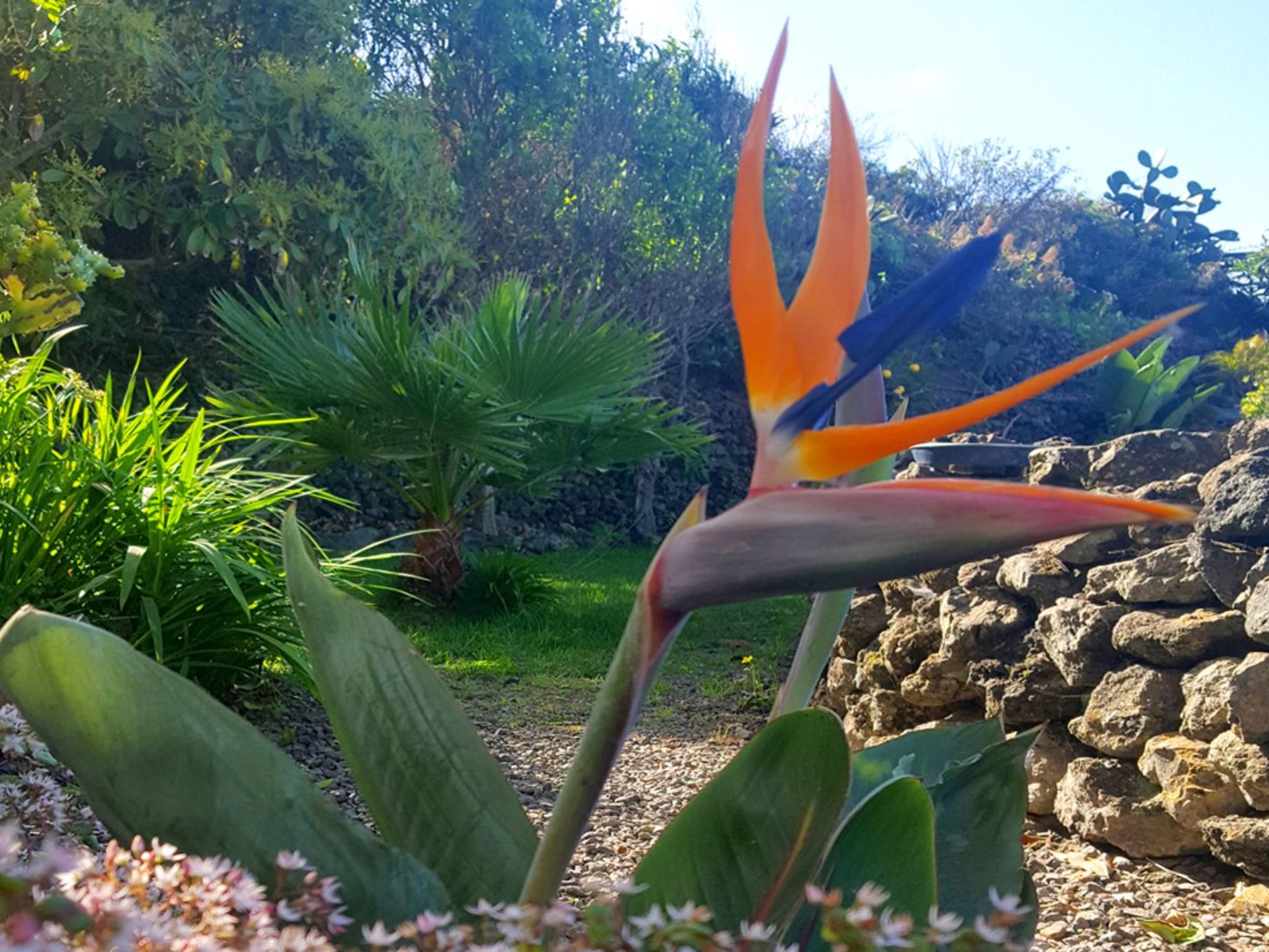 Schönes Apartment in Genovés mit Ozeanblick-Image-tags.info