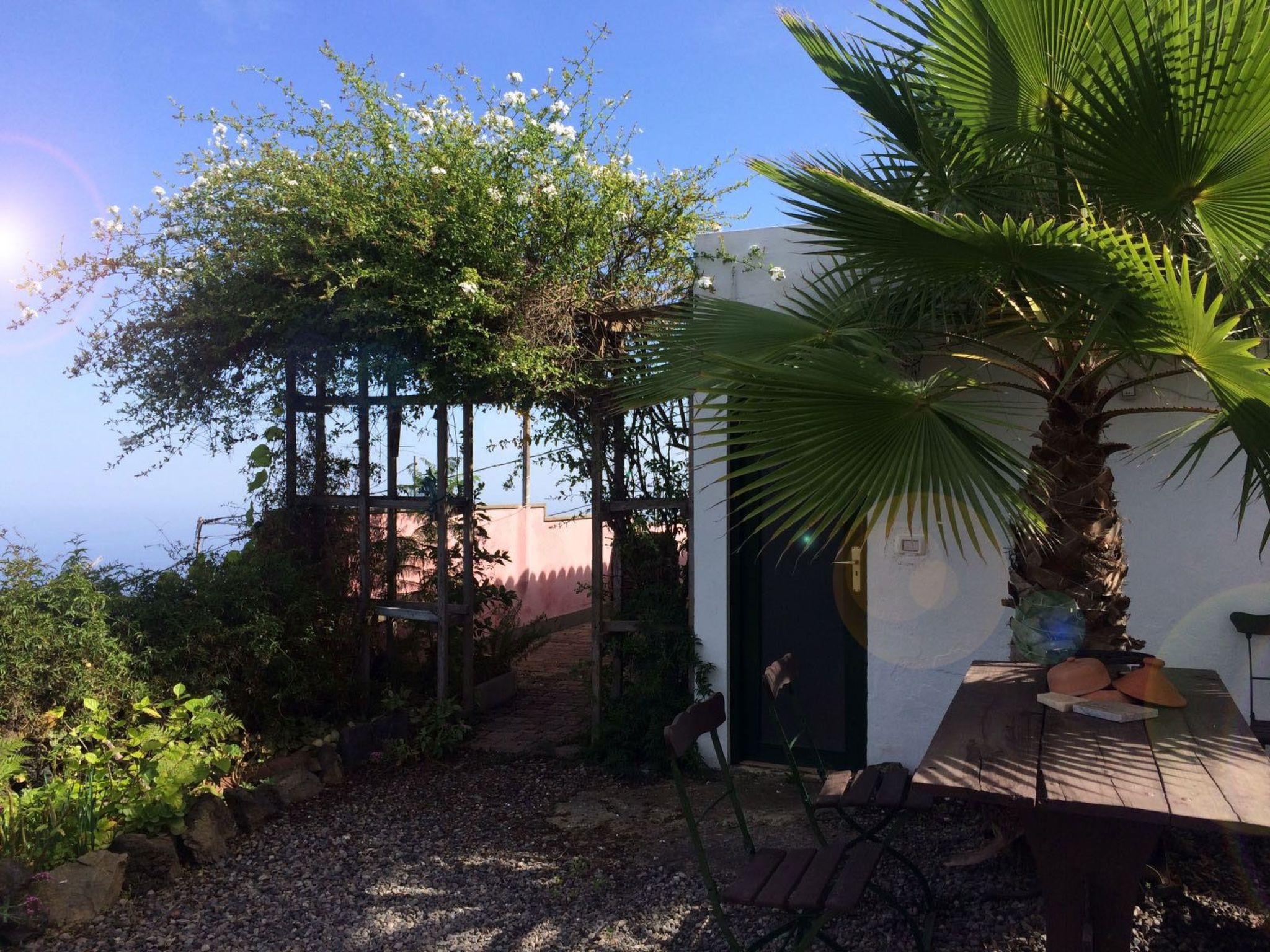 Primavera-Image-tags.info