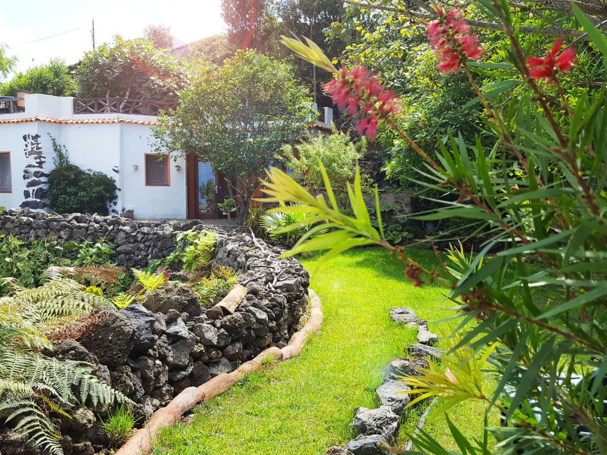 Primavera-Image-tags.info