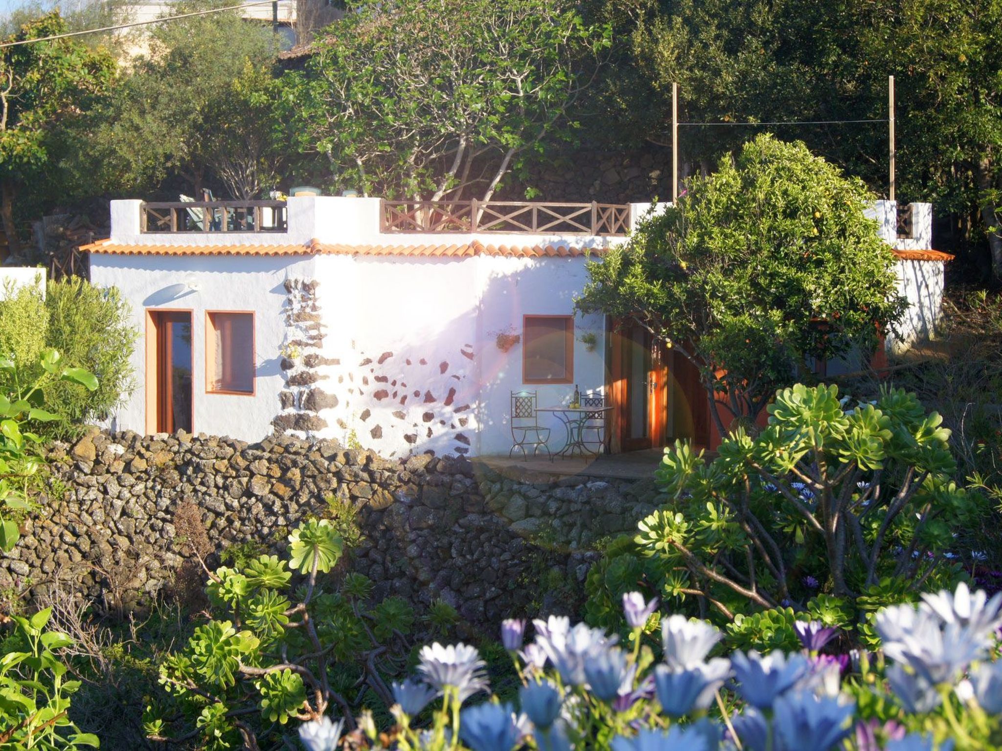 Primavera-Image-tags.info