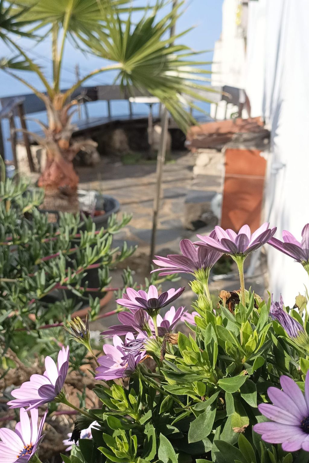 Casa Madera 2-Binnen