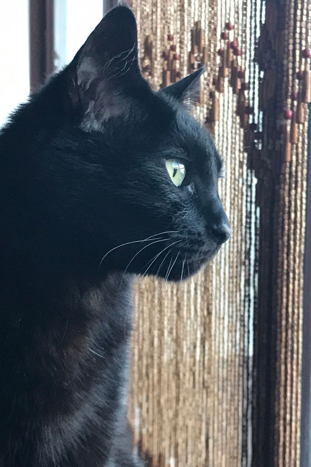 Casa Madera-Image-tags.info