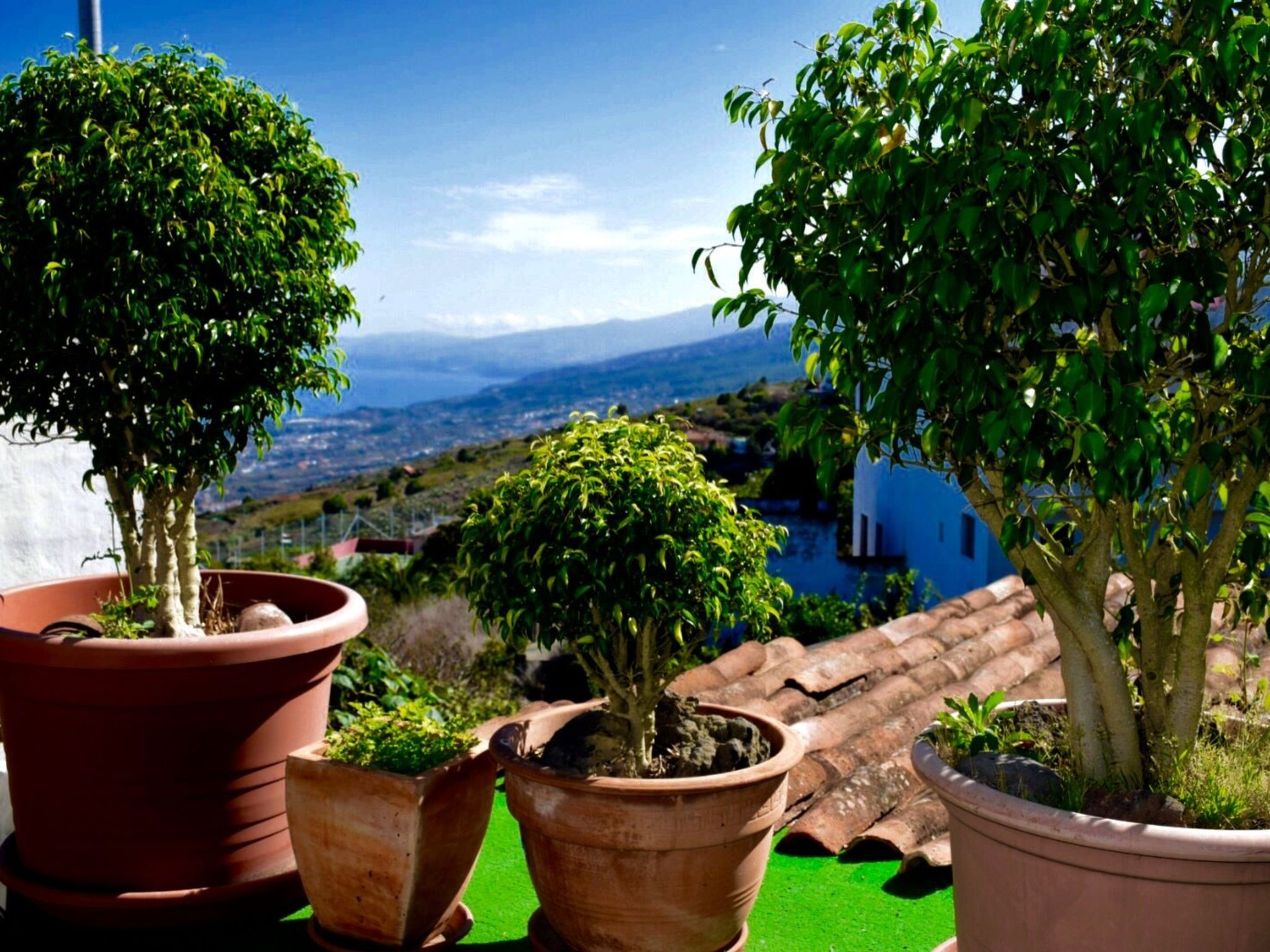 Casa Madera-Image-tags.info