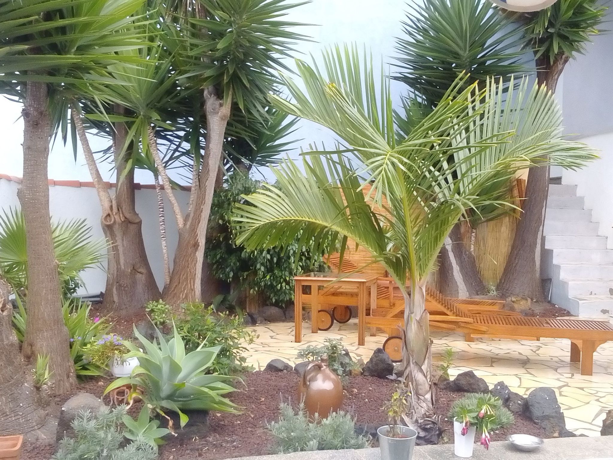 Studio mit Terrasse-Outside