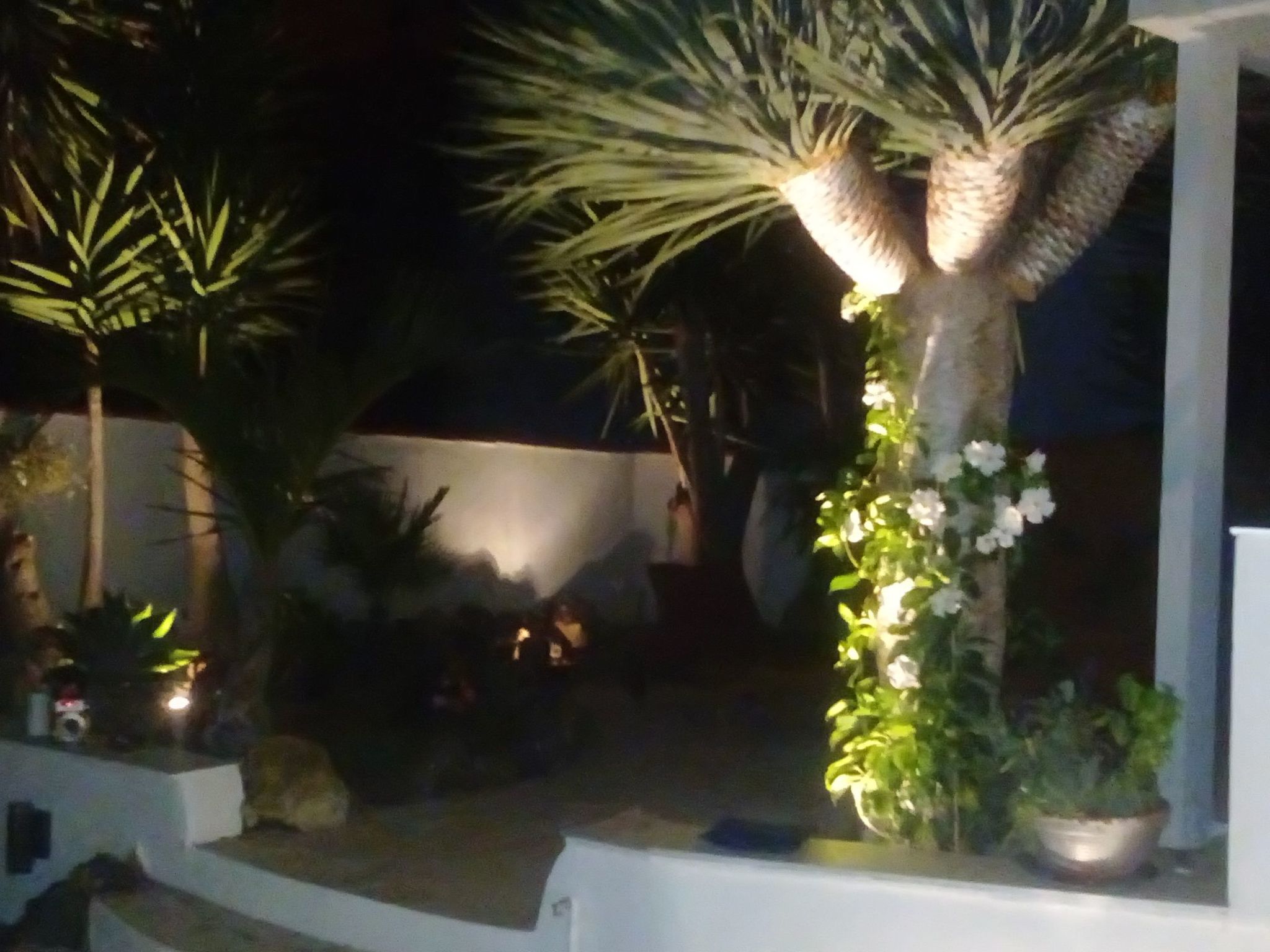 Studio mit Terrasse-Outside