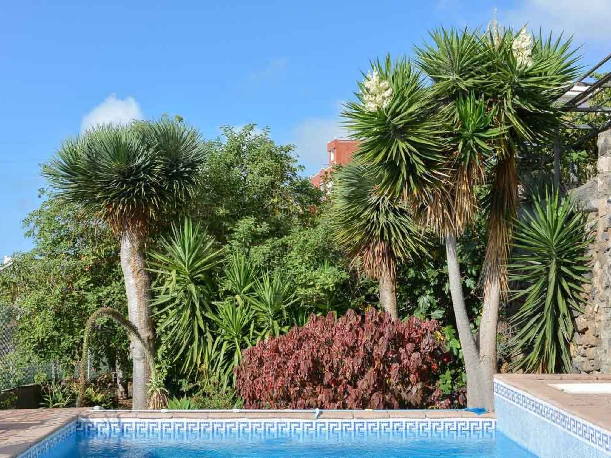 Renovierte Finca Paradies mit privatem Pool-Binnen