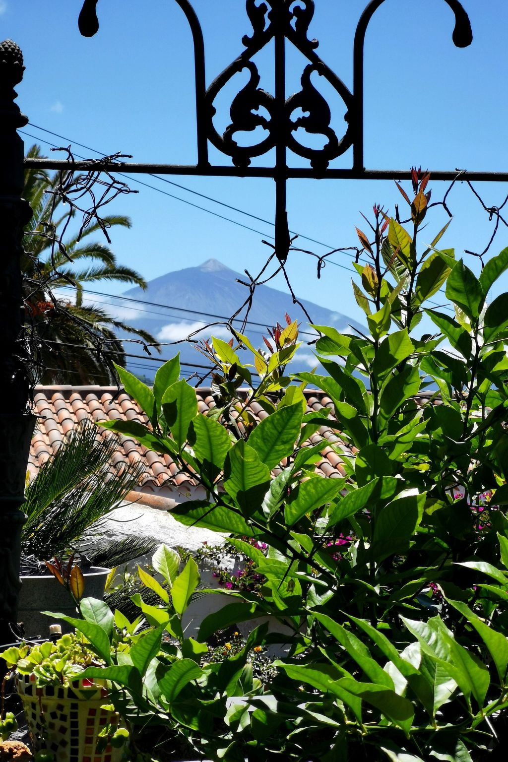 Renovierte Finca Paradies mit privatem Pool-Binnen