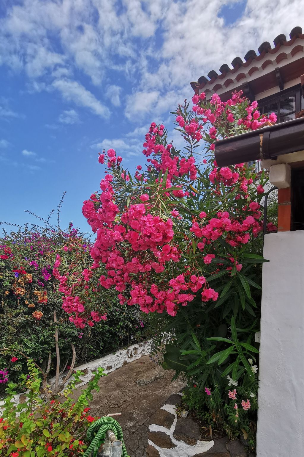 Renovierte Finca Paradies mit privatem Pool-Binnen