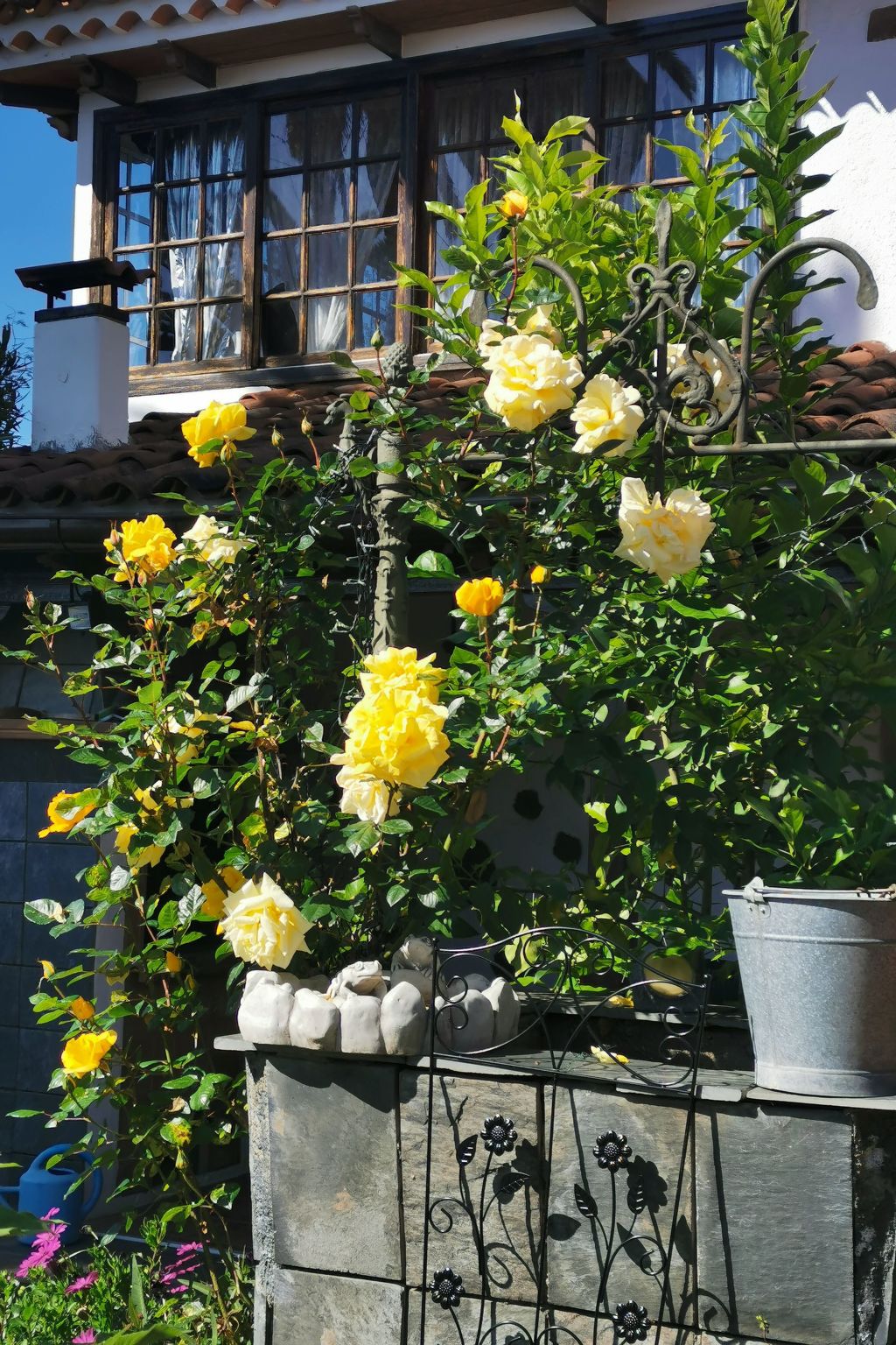 Renovierte Finca Paradies mit privatem Pool-Binnen