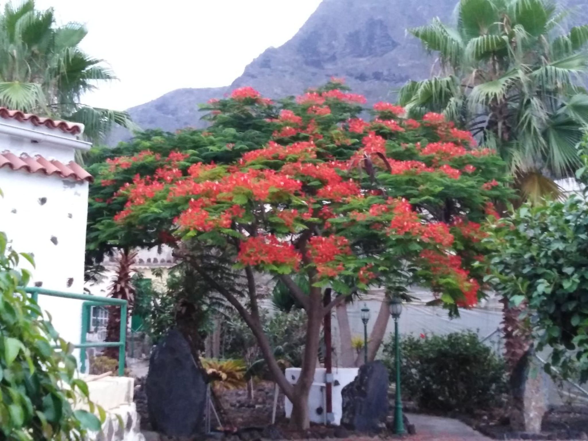 Haus El Cardón B2-Buiten