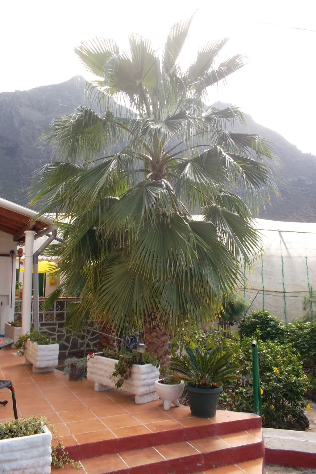 Photo of Haus El Cardón B2