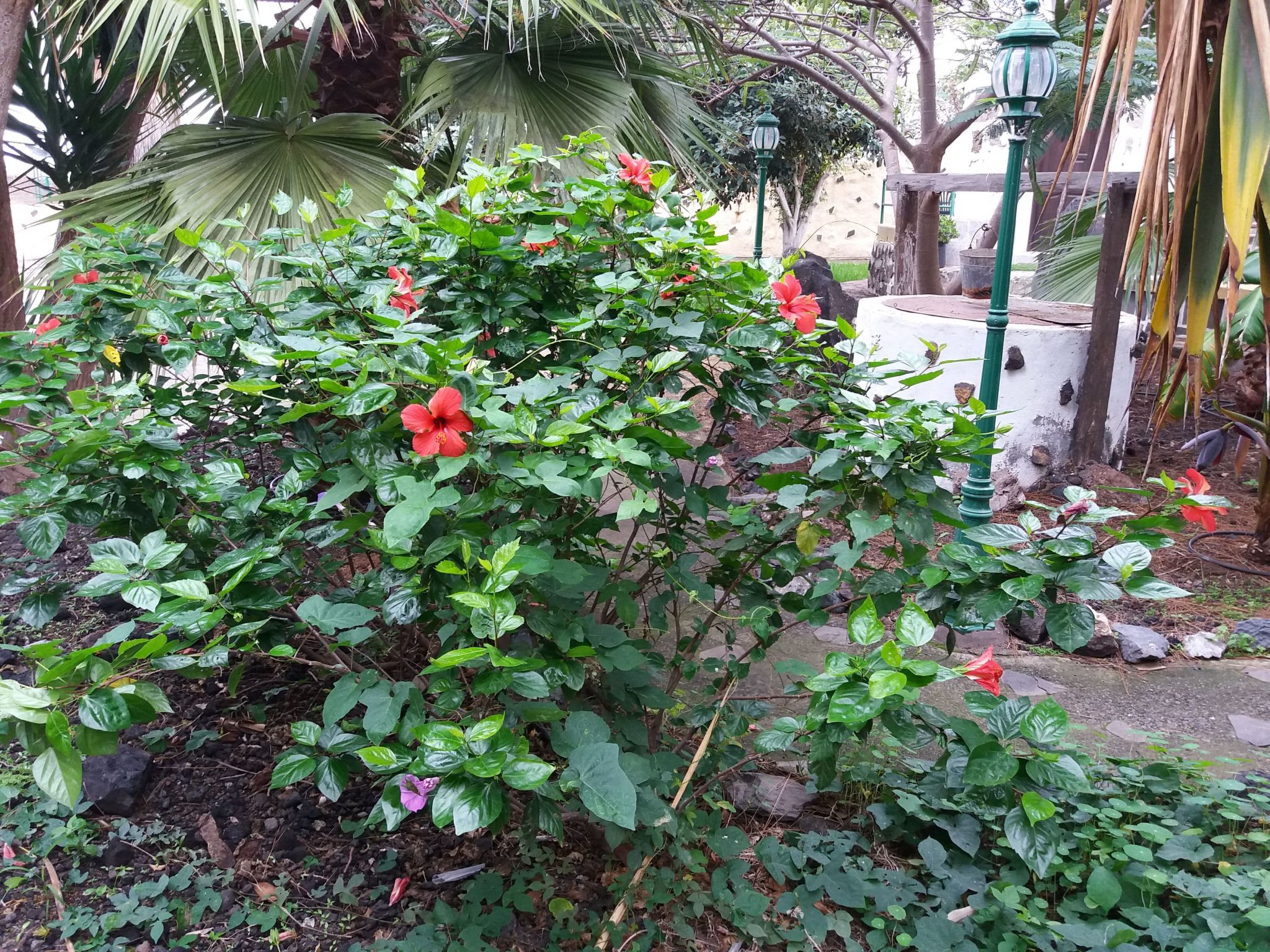 Photo of Haus El Cardón A1