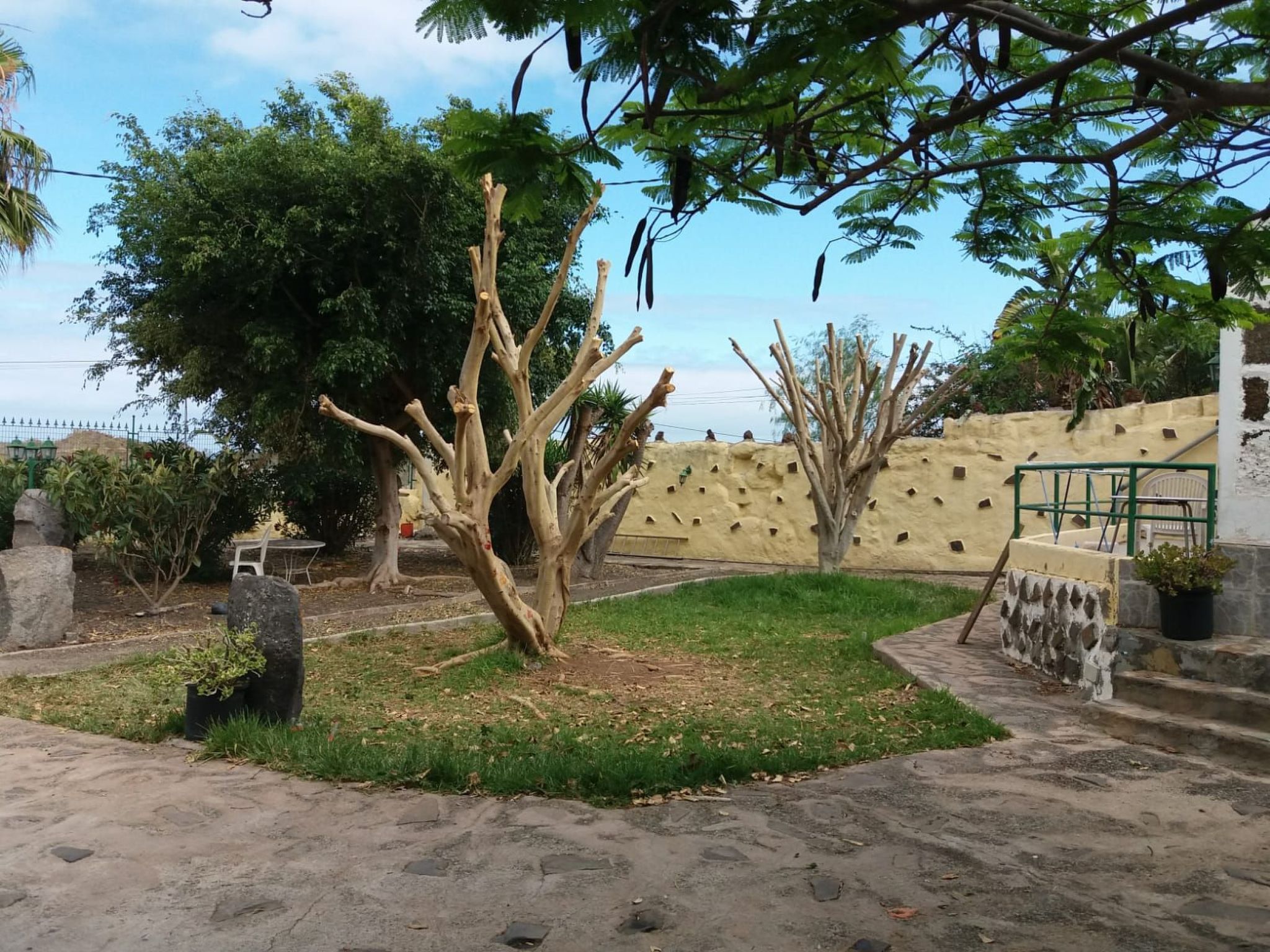 Photo of Haus El Cardón A1