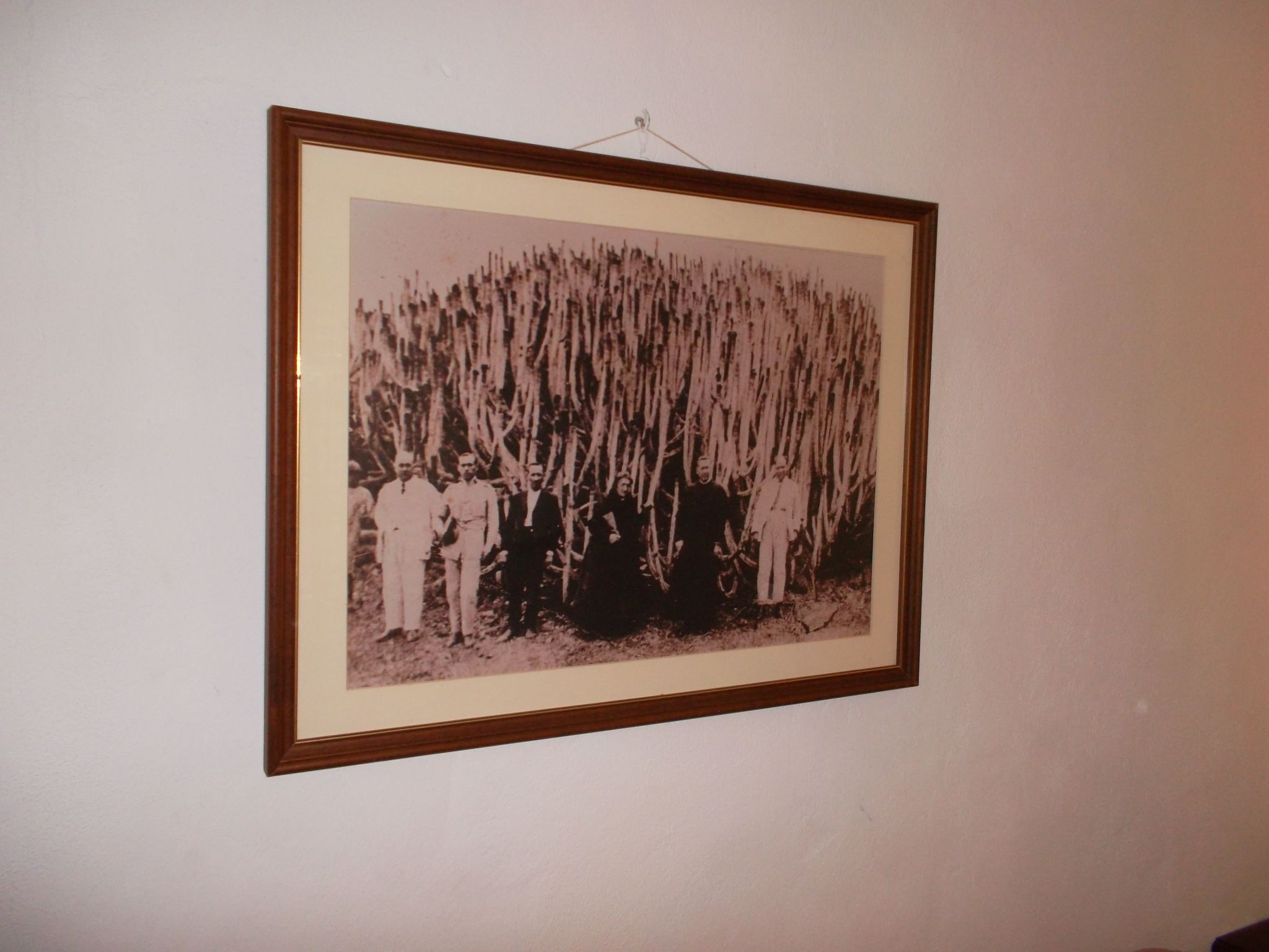 Haus El Cardón B1-Binnen