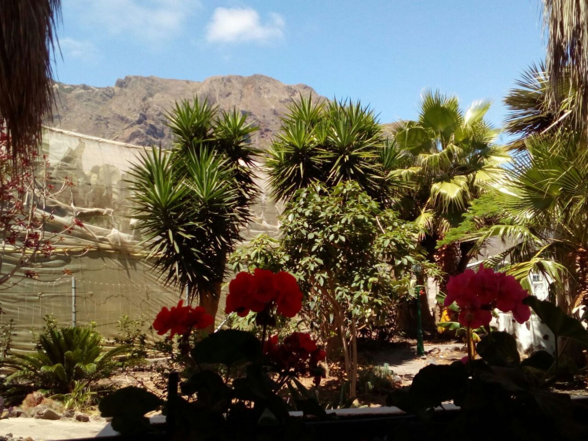 Haus El Cardón B1-Buiten