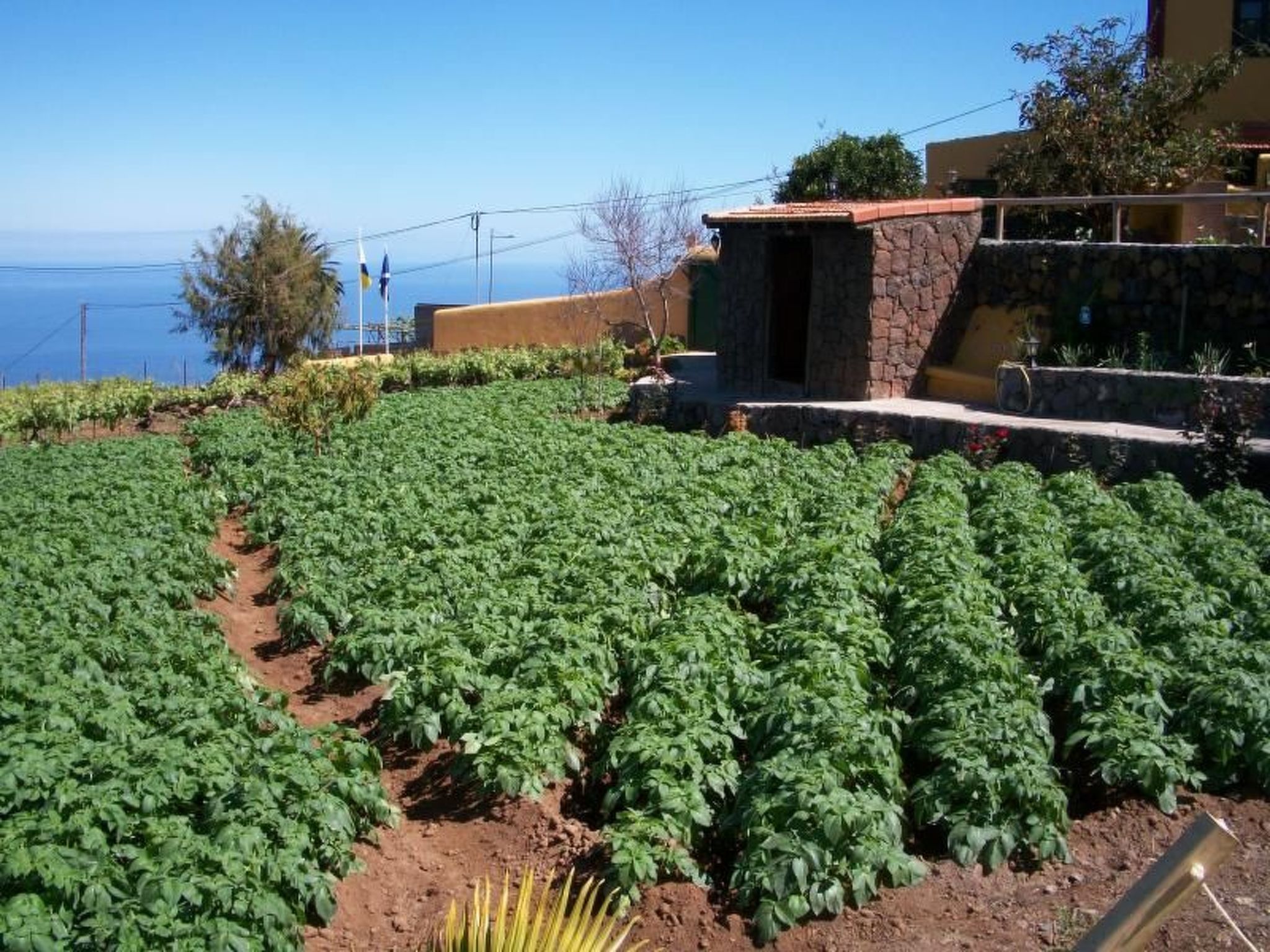 Typisches, renoviertes kanarisches Landhaus-Image-tags.info