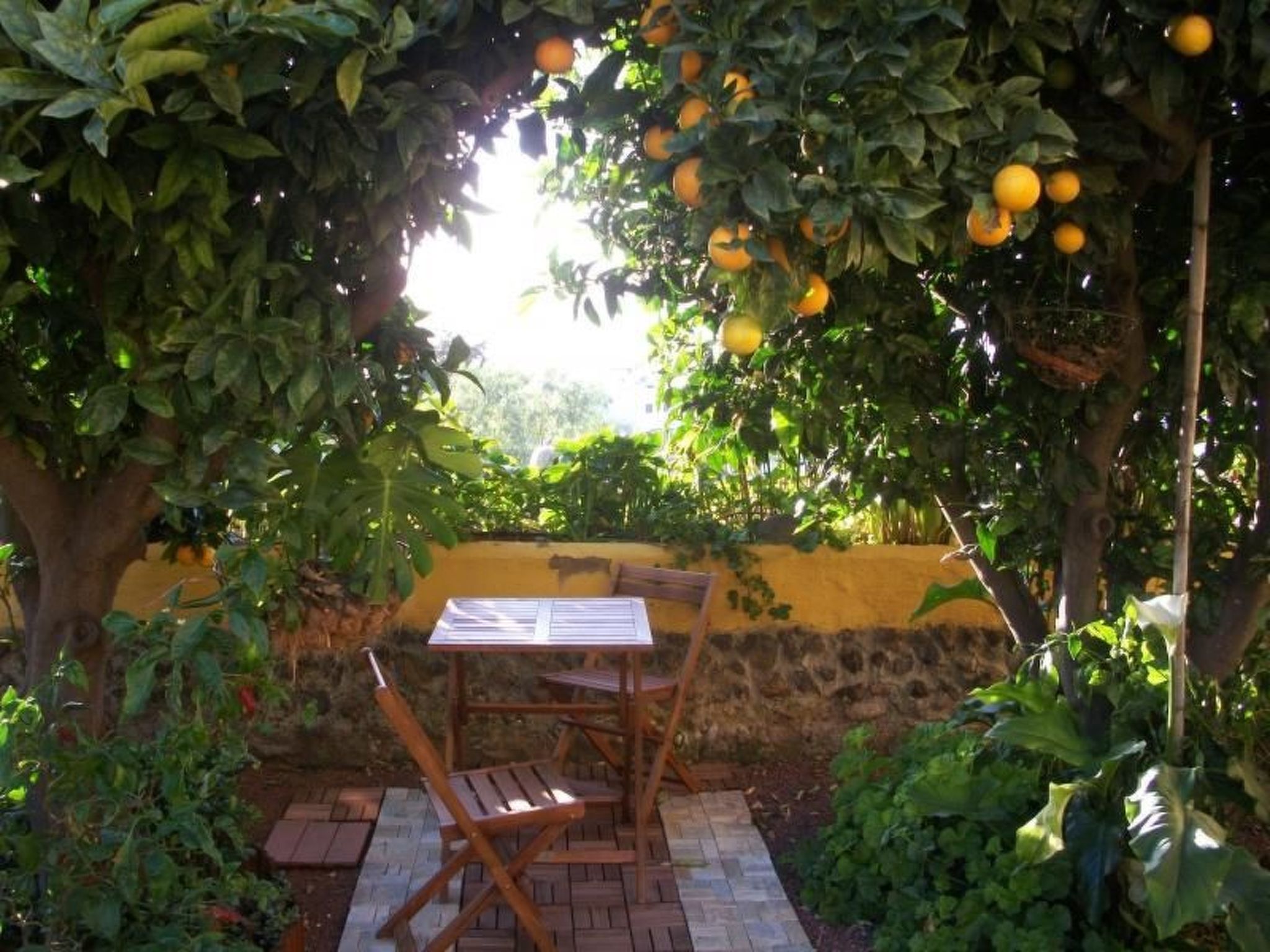 Typisches, renoviertes kanarisches Landhaus-Image-tags.info