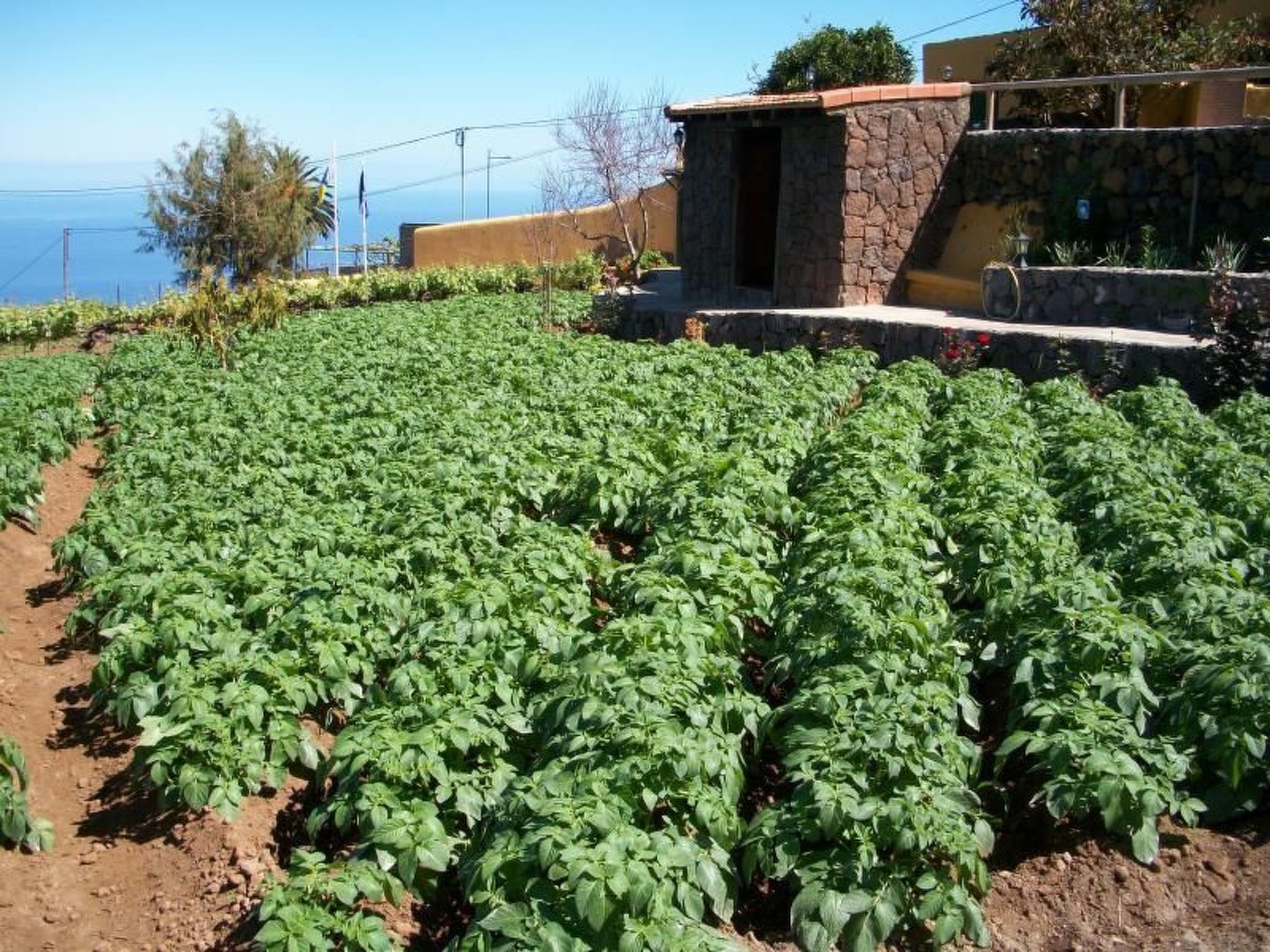 Typisches kanarisches Häuschen mit Terrasse und Grill-Drinnen