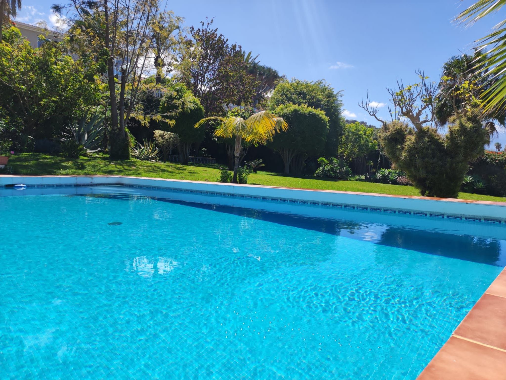 In El Sauzal mit Großem Pool und Meerblick-Image-tags.info