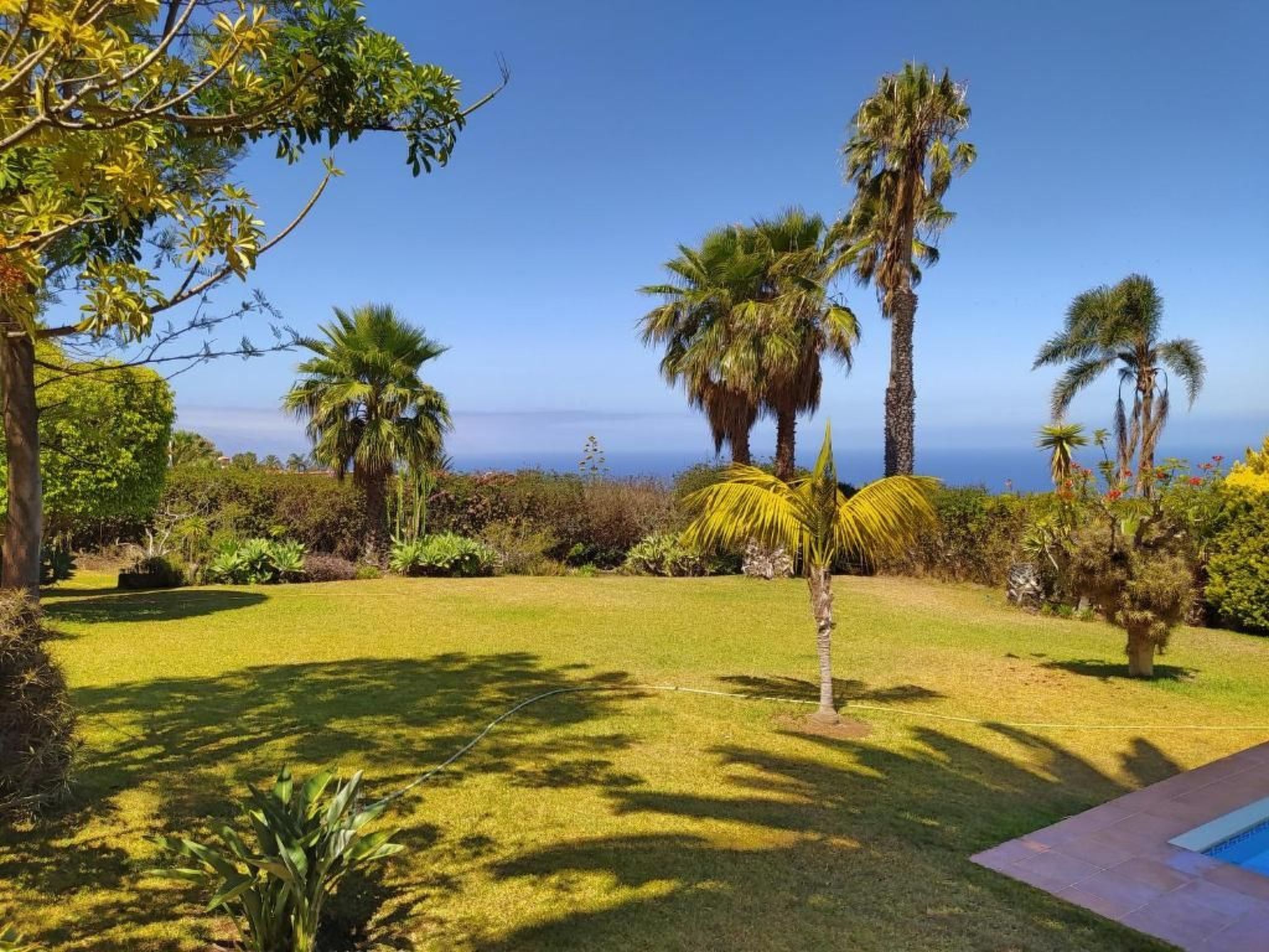 In El Sauzal mit Großem Pool und Meerblick-Image-tags.info