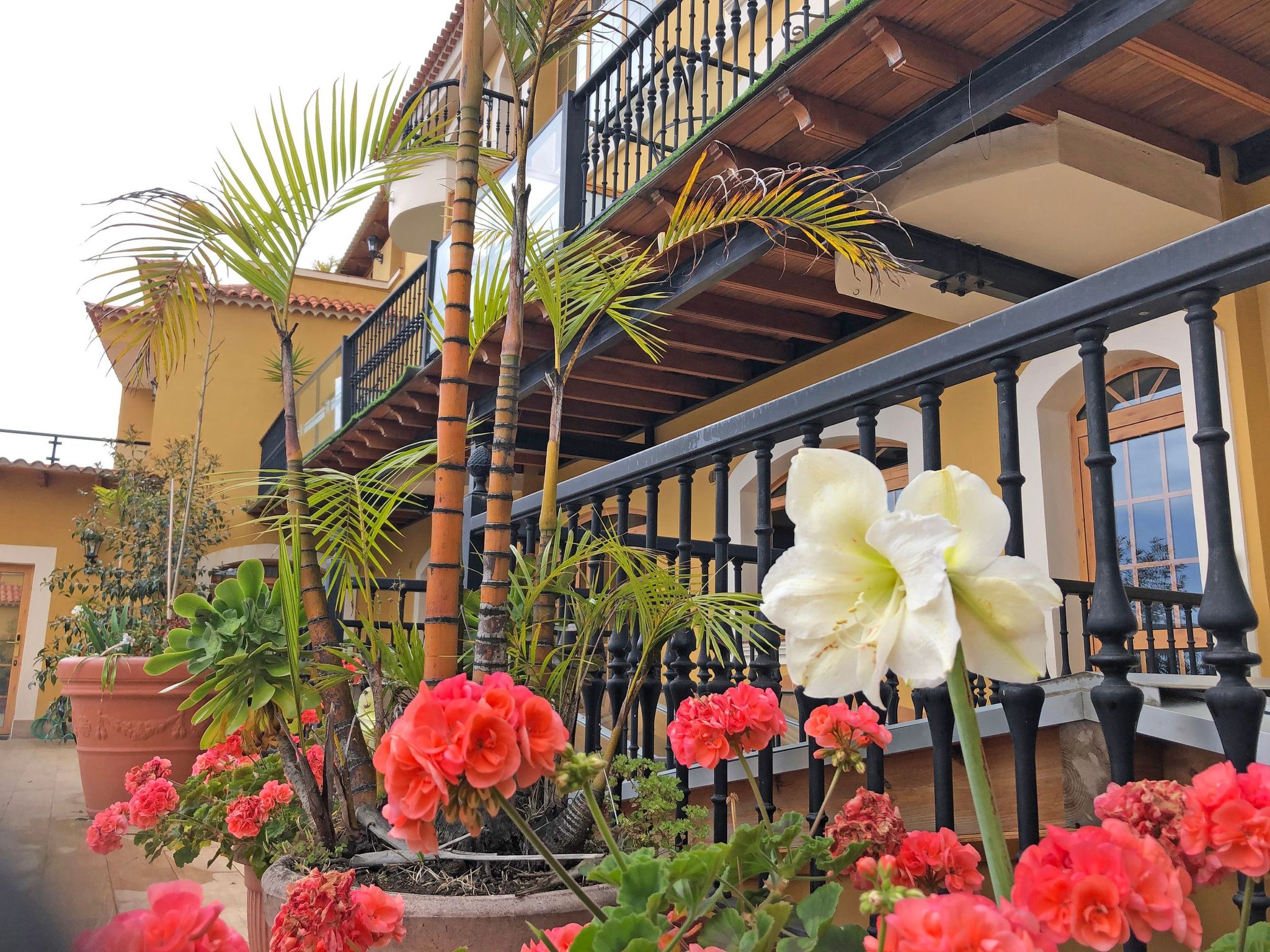 Apartment Balkon Meerblick-Outside