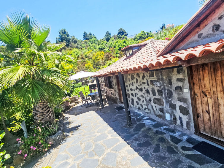 Fw Cueva Del Viento - Canarias