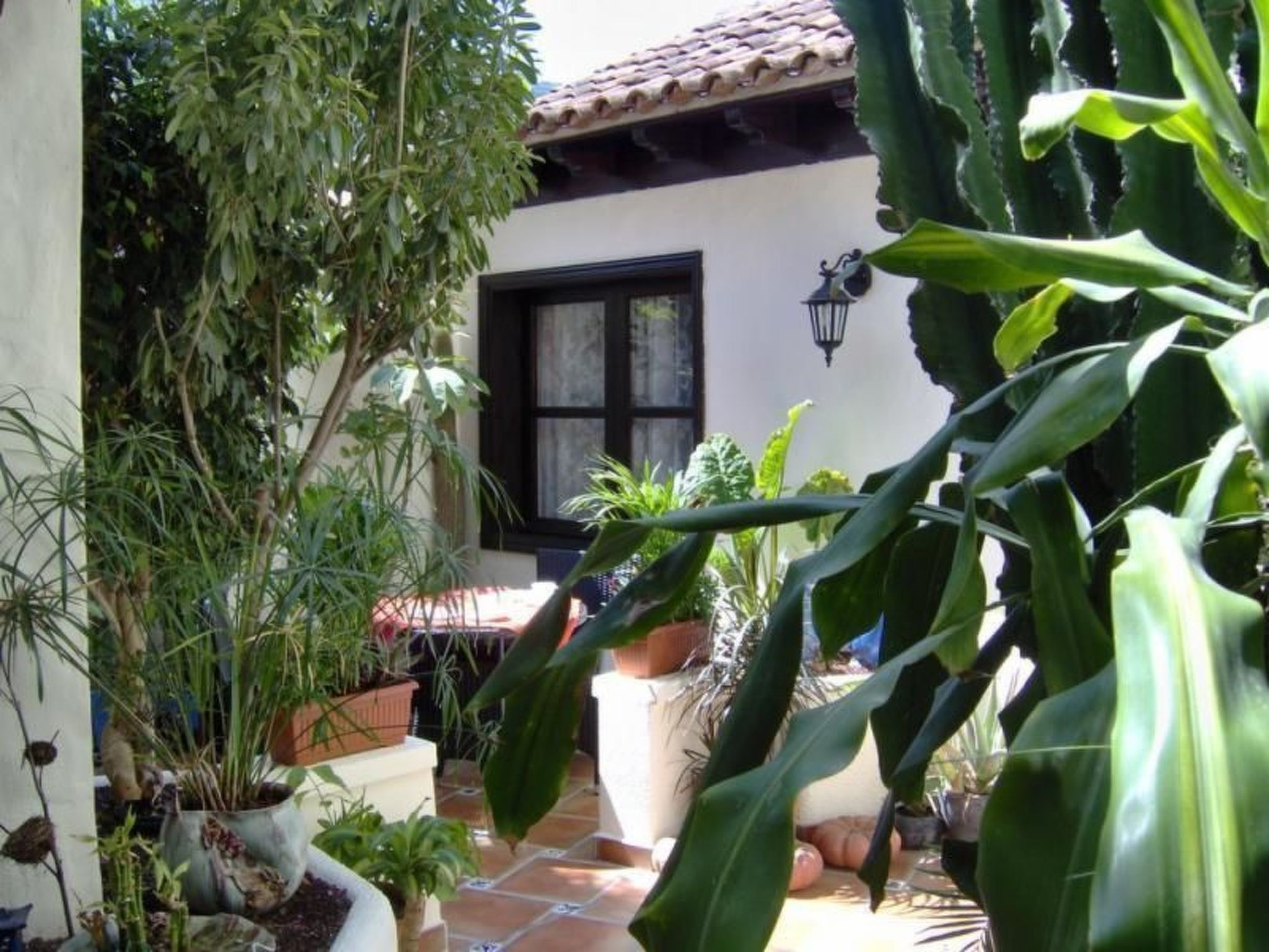 Mit Blick auf das Wasser-Image-tags.info