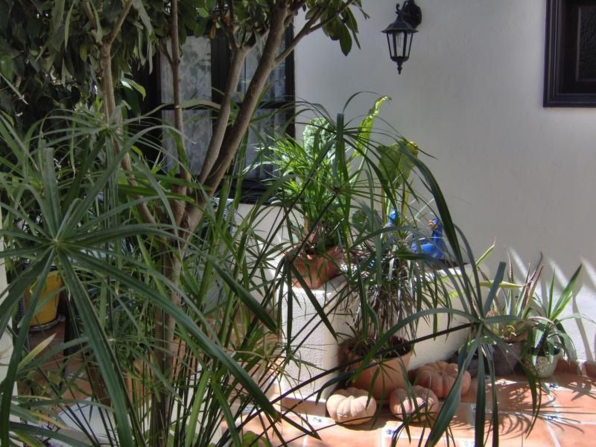 Appartement mit Blick auf das Wasser-Image-tags.info