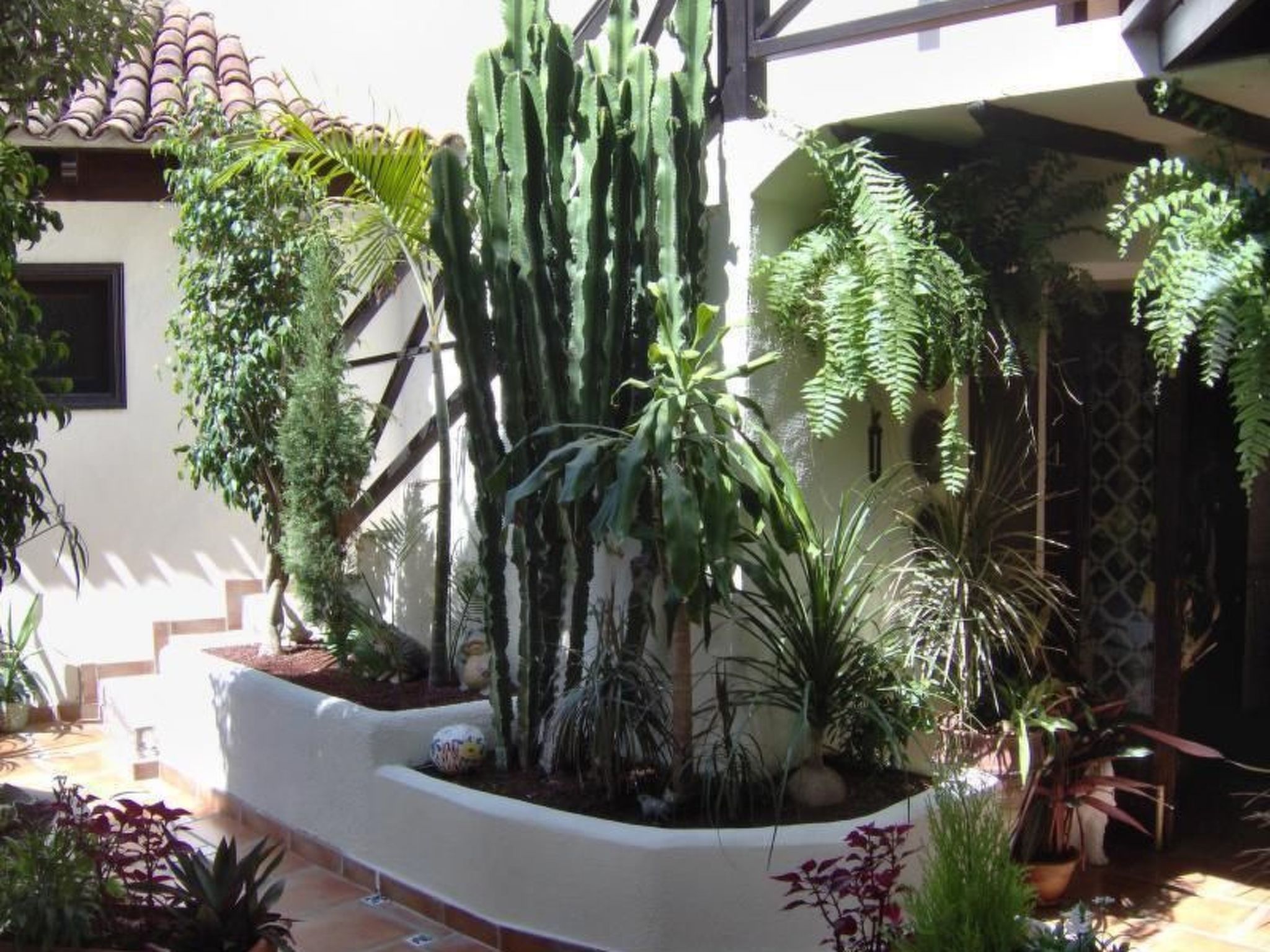 Für 2 Personen ca. 45 m&sup2; in Icod de los Vinos, Teneriffa (Nordküste von Te-Image-tags.info